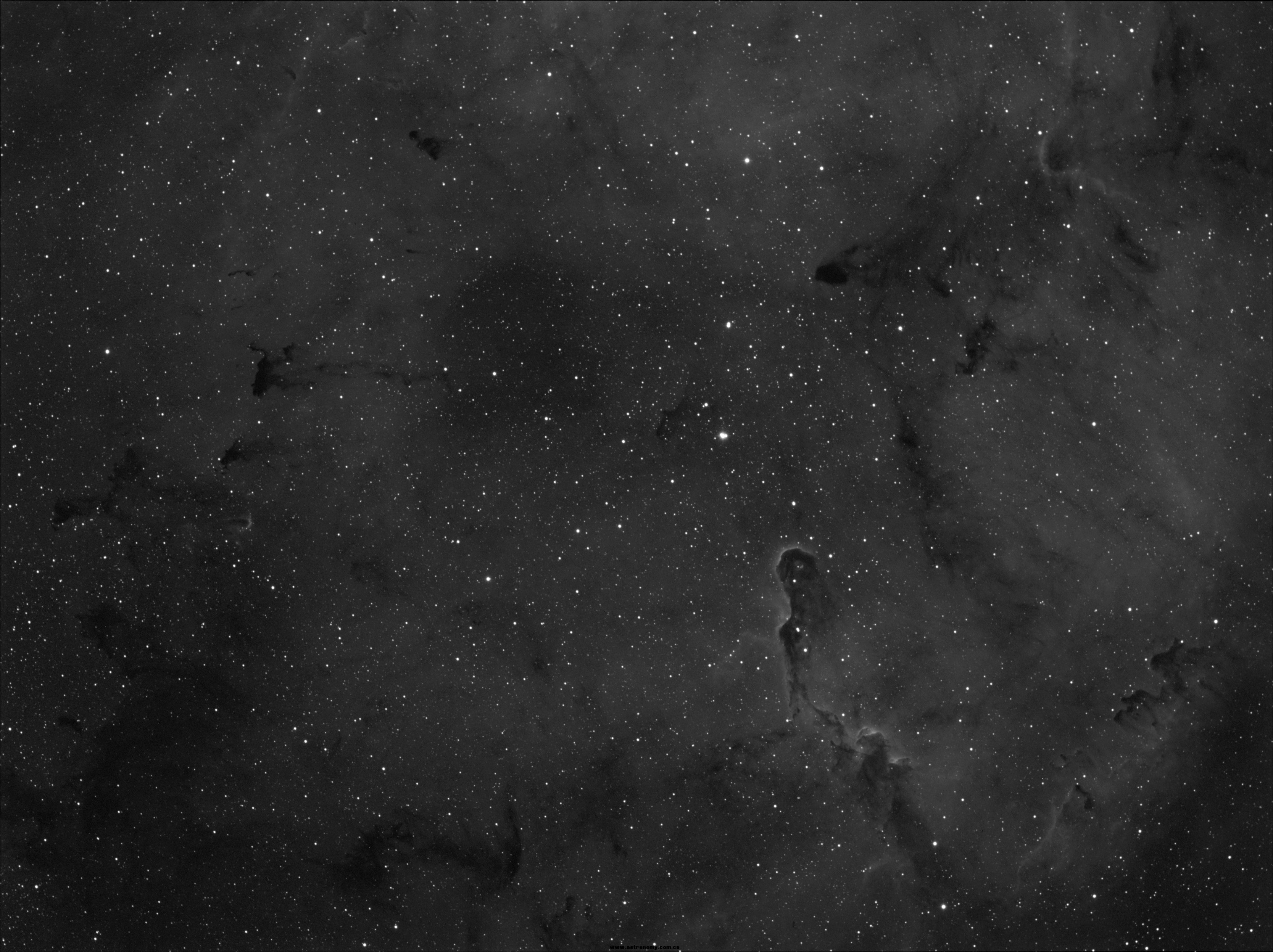 IC1396HA-2.jpg