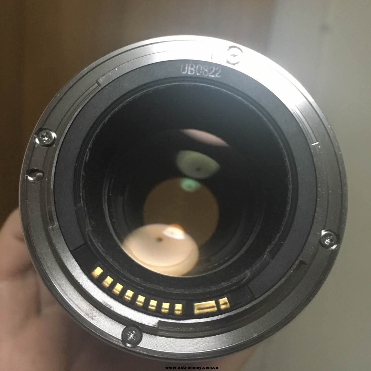 78297310.jpg