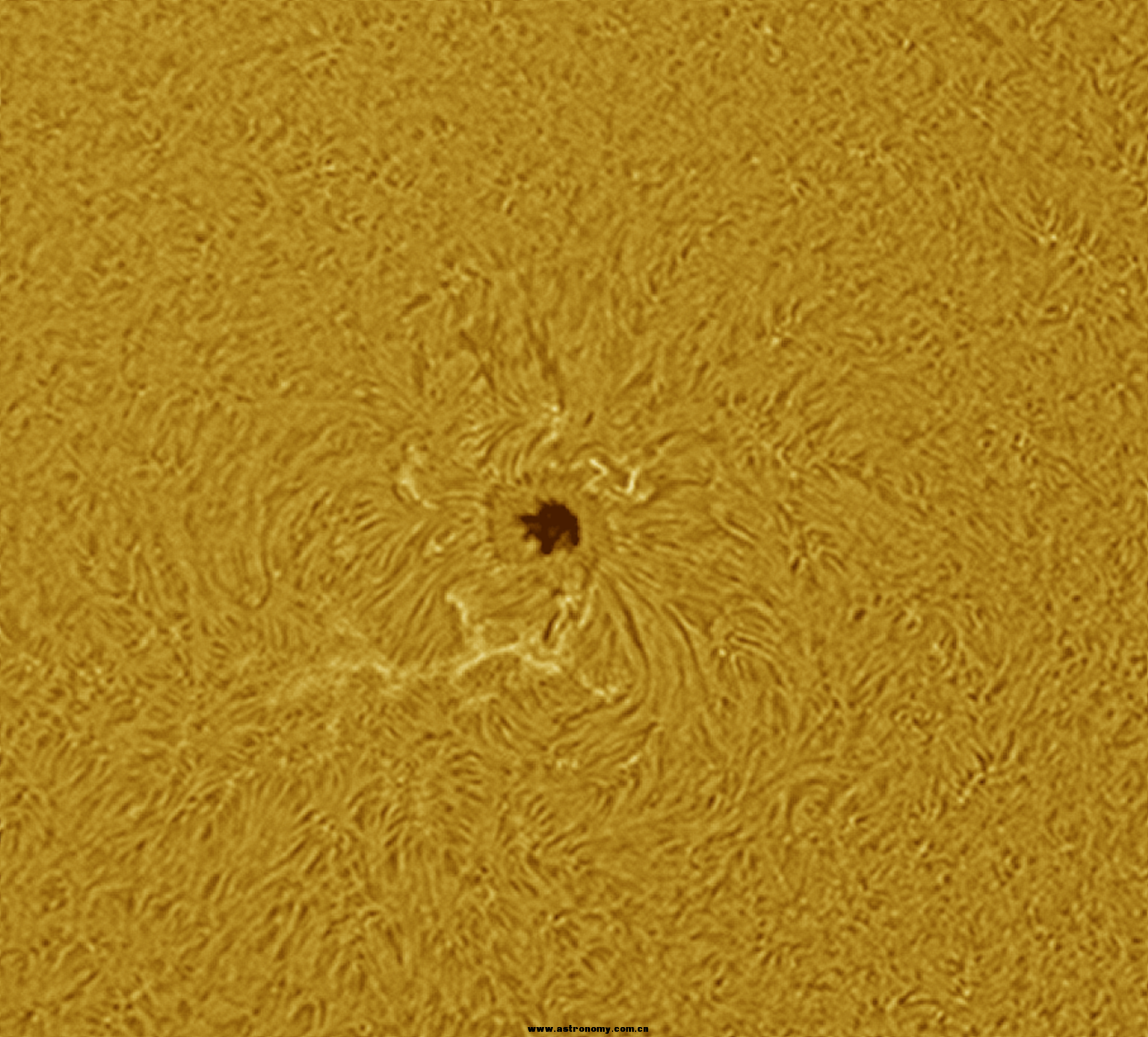 12_30_09_g3_ap34.png