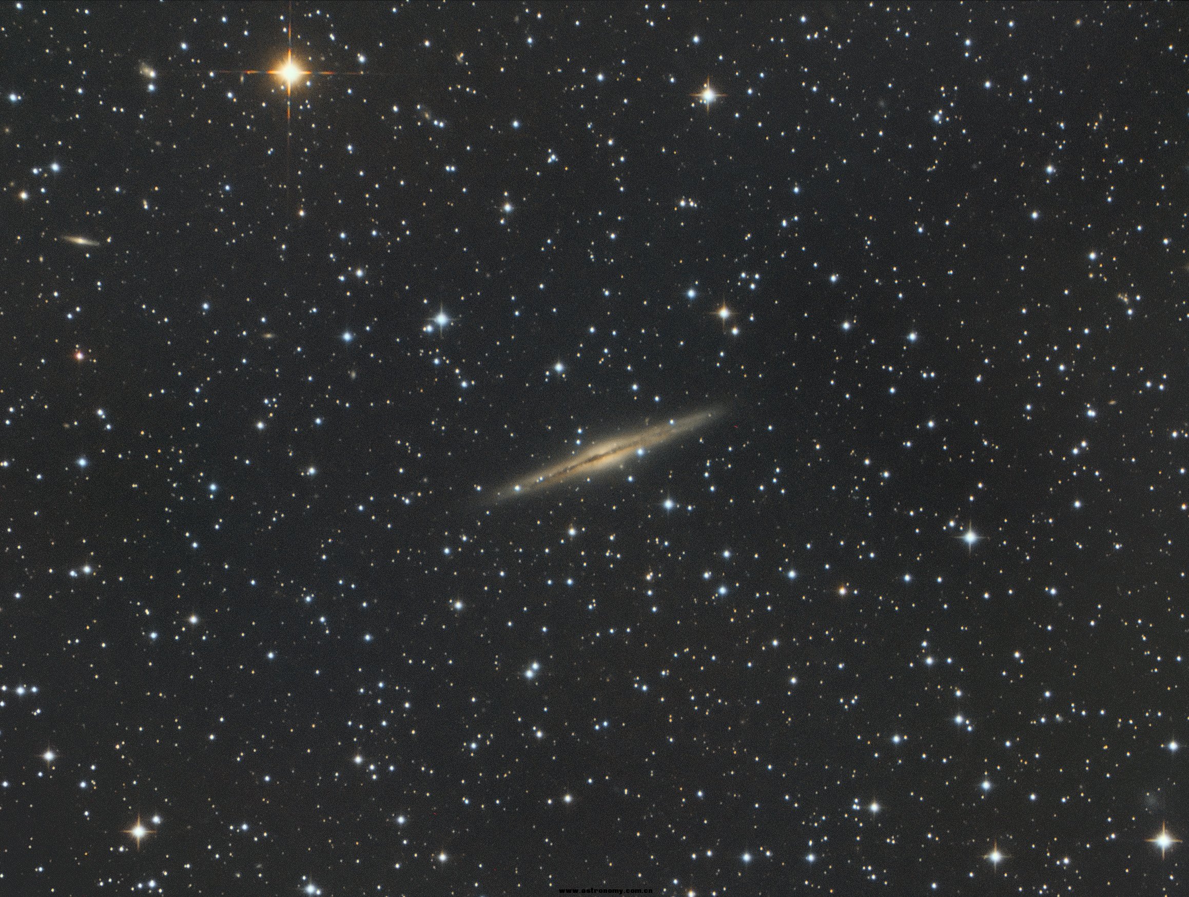 ngc891.jpg