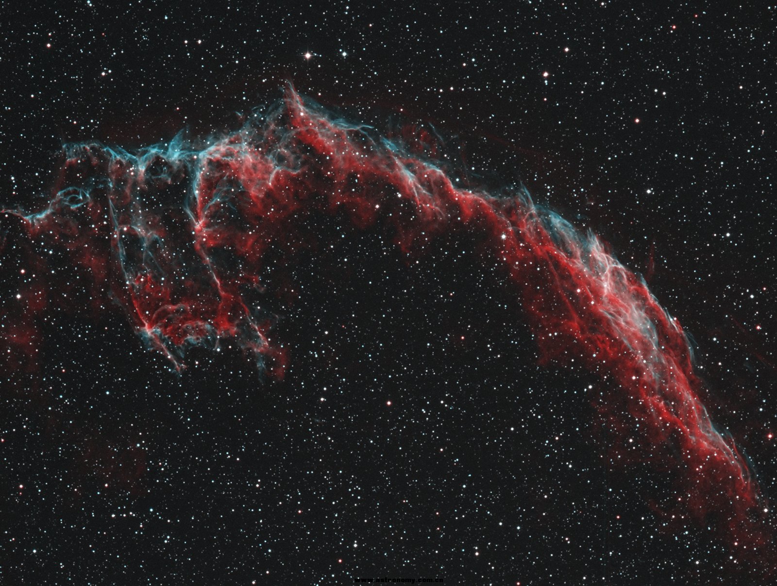 NGC6992 V1 JPG50%.jpg