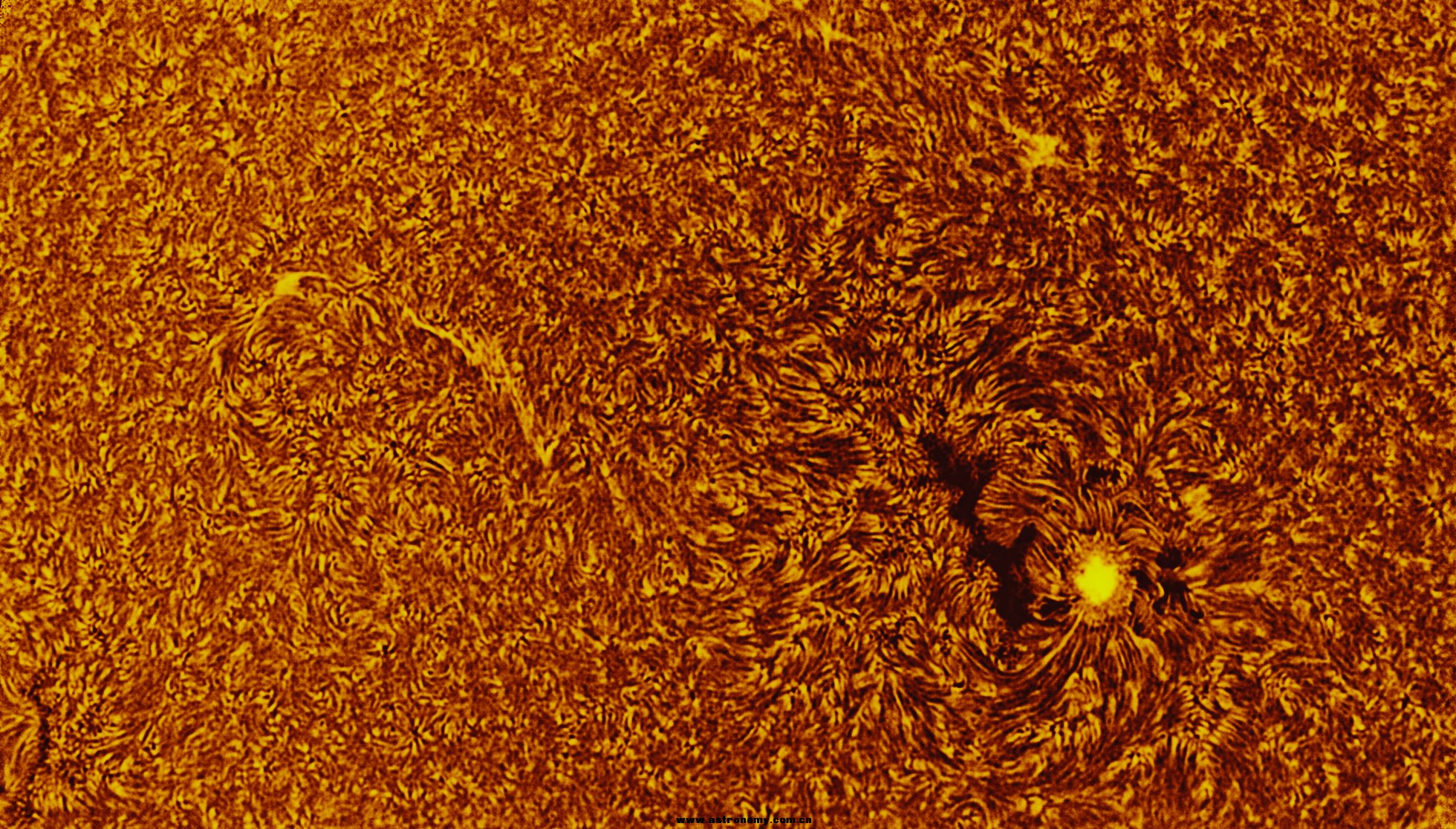 AR2546.jpg