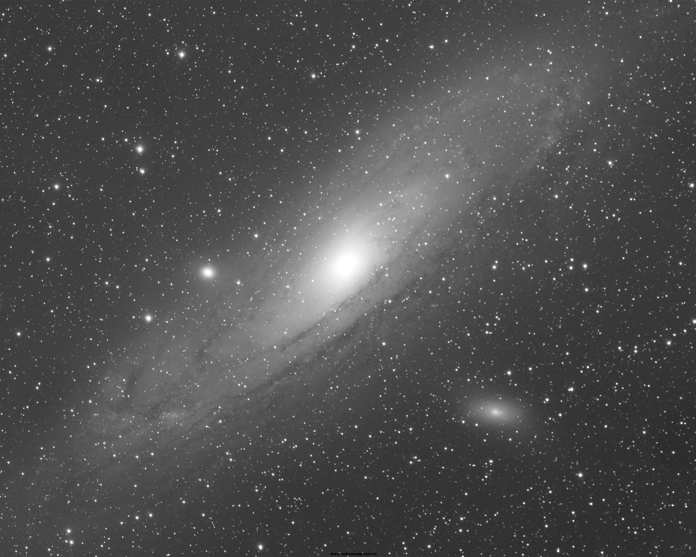 M31-L.jpg