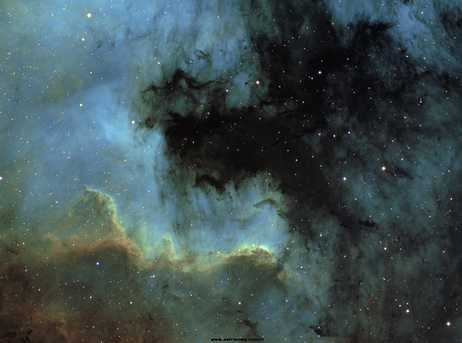 NGC7000-RGB-6(50%).jpg