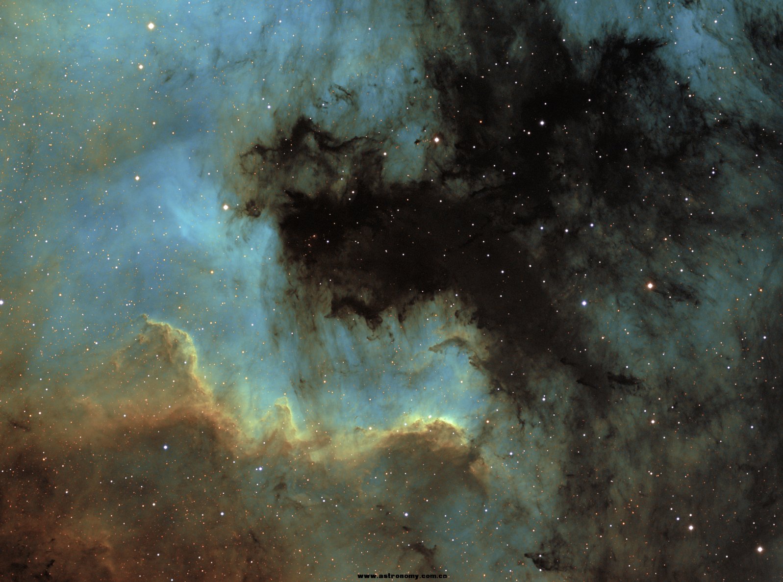 NGC7000-RGB-7(50%).jpg