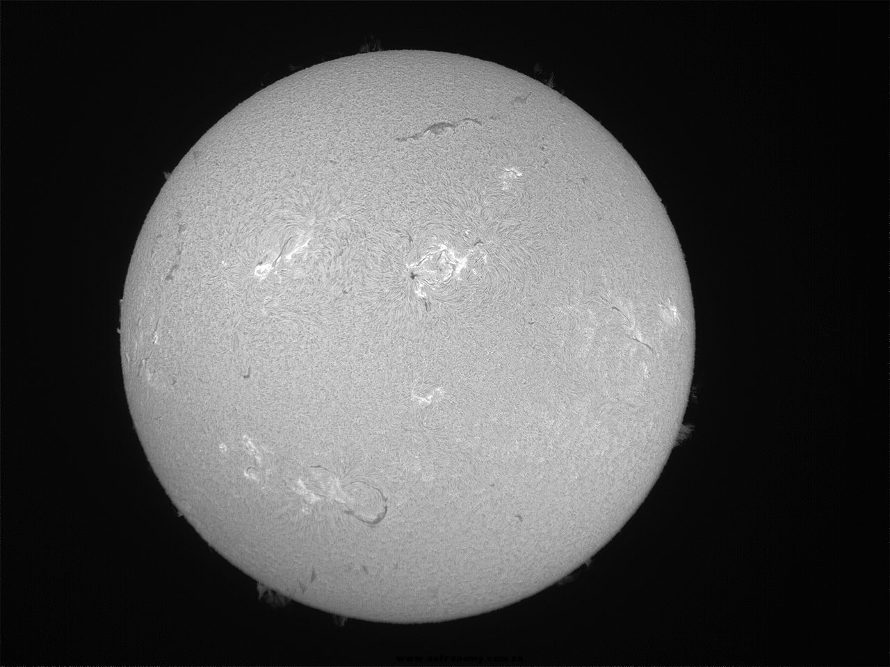 QHY5L-II-solarHa.jpg