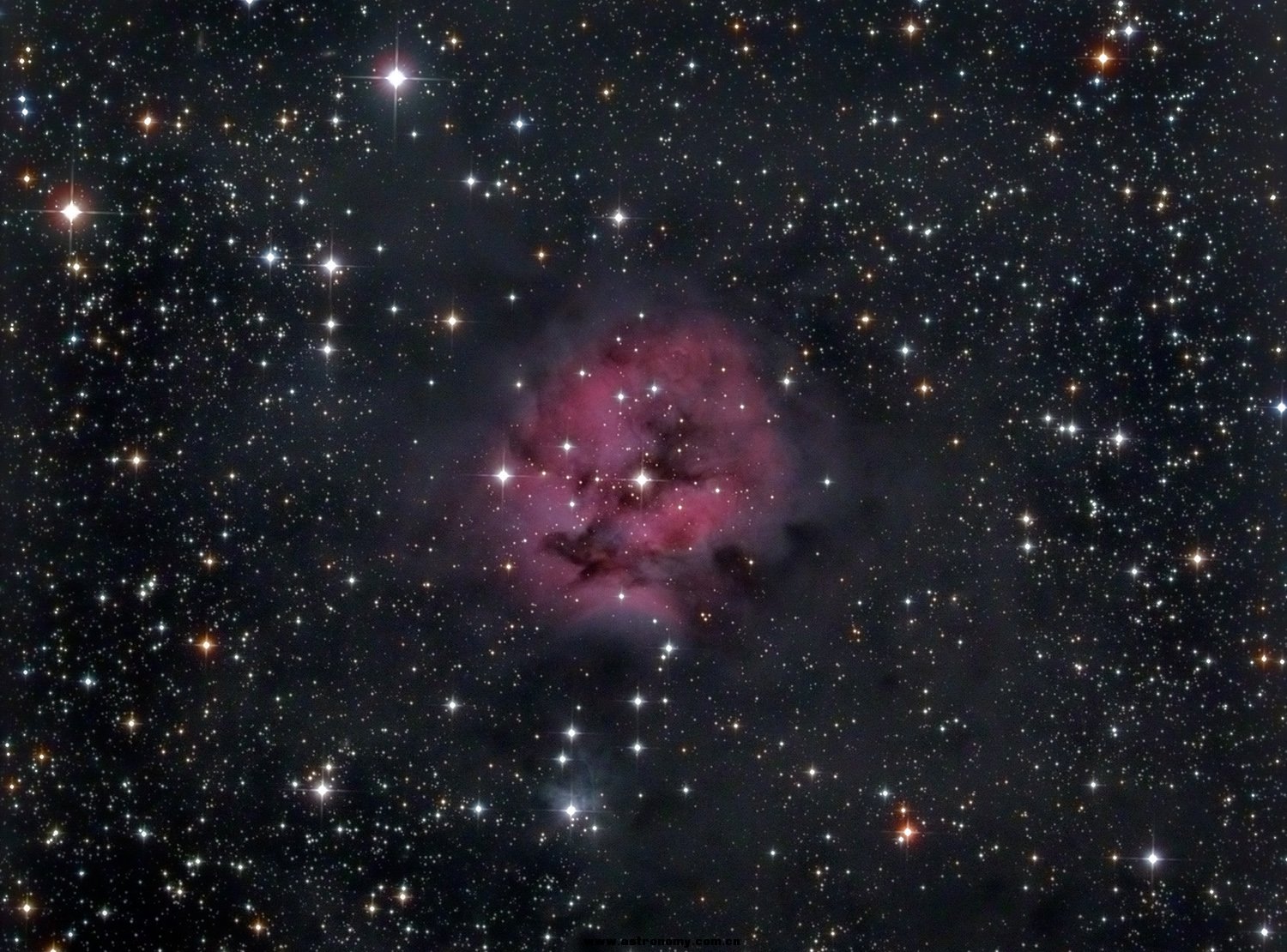 ic146 副本 4.jpg