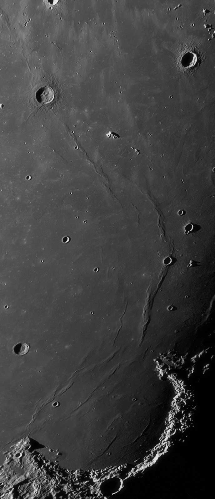 S_Iridum_20130322_1147-a.jpg