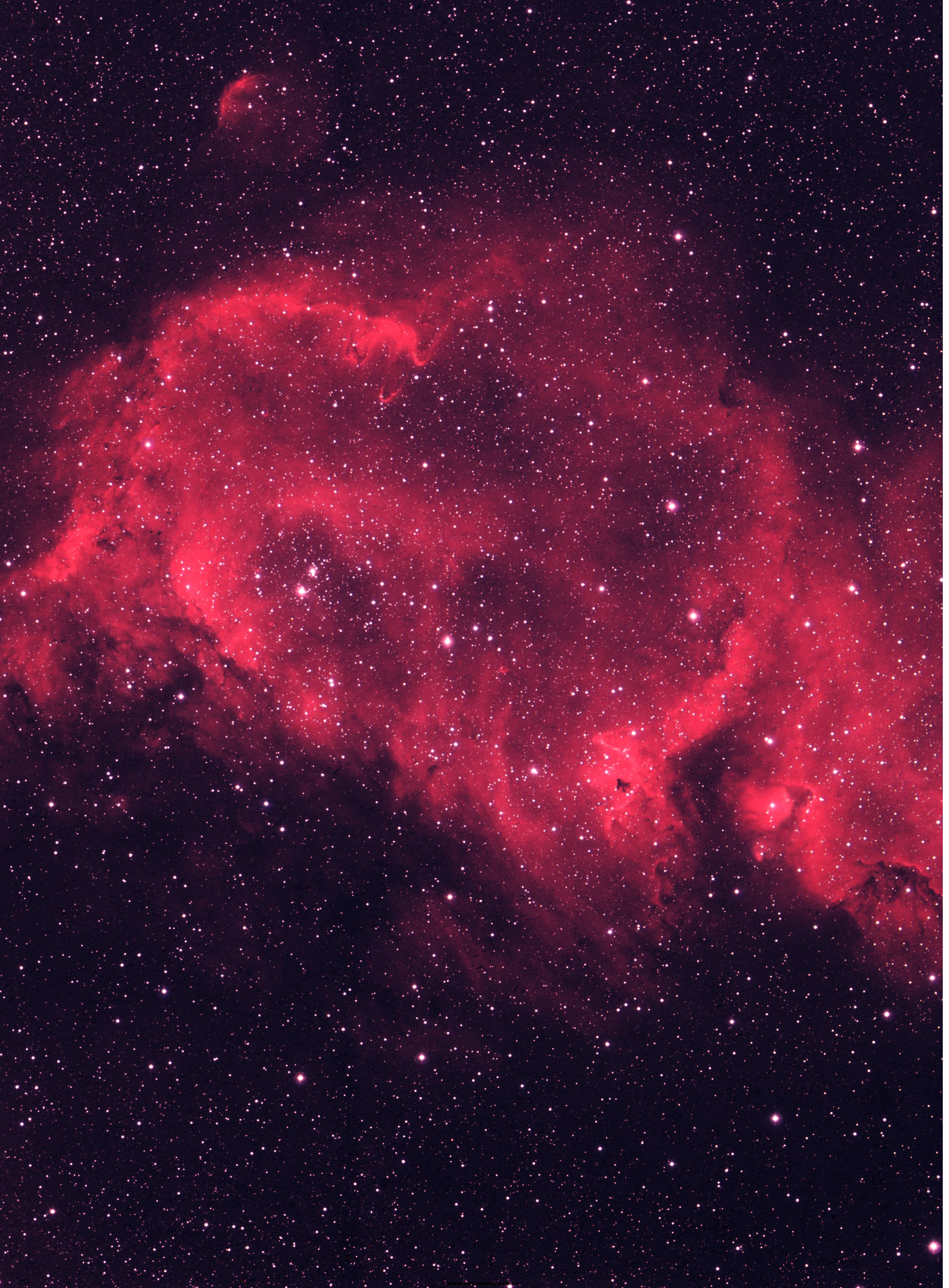 IC1848RGB.jpg