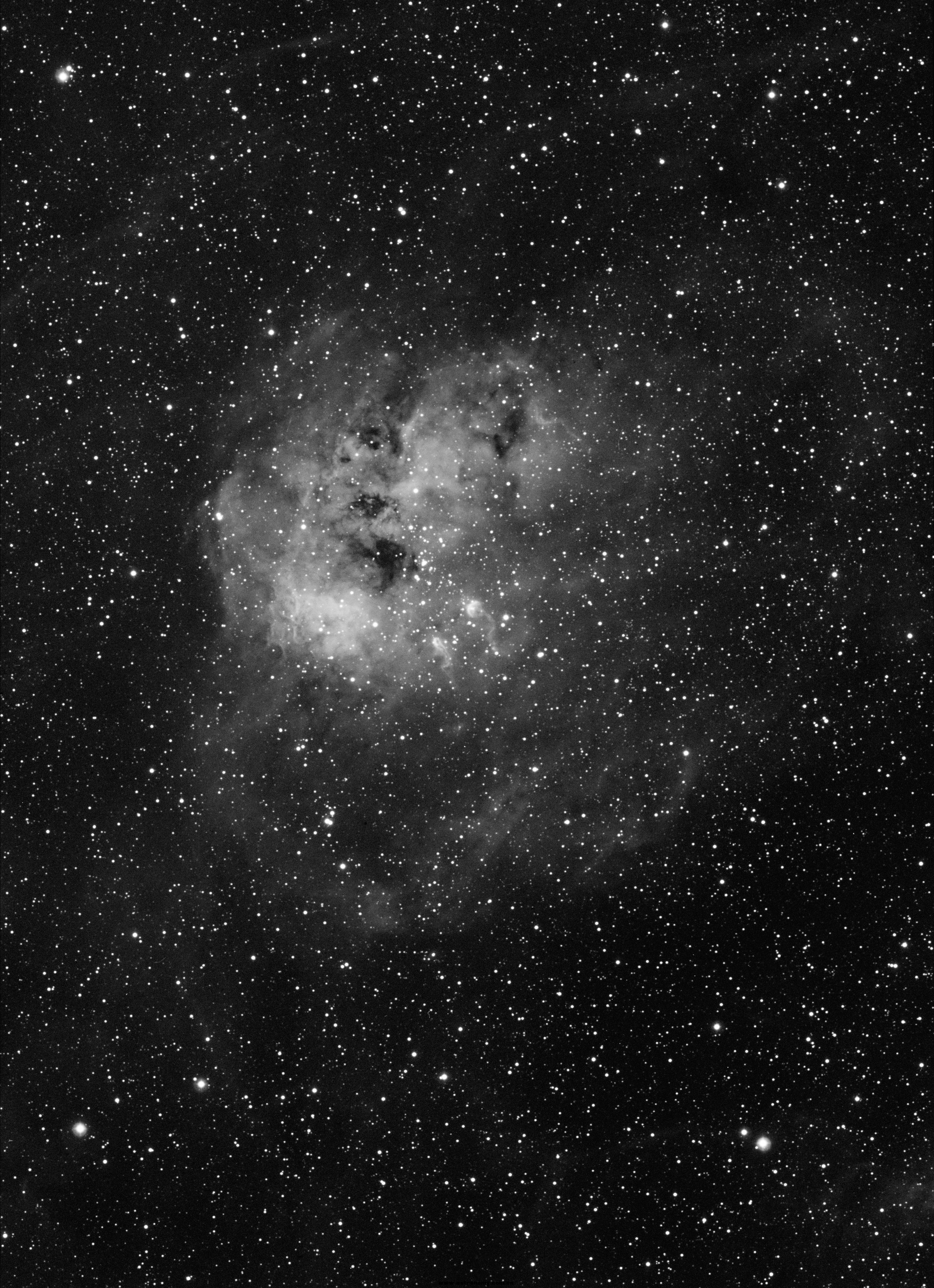 IC410蝌蚪星云.jpg