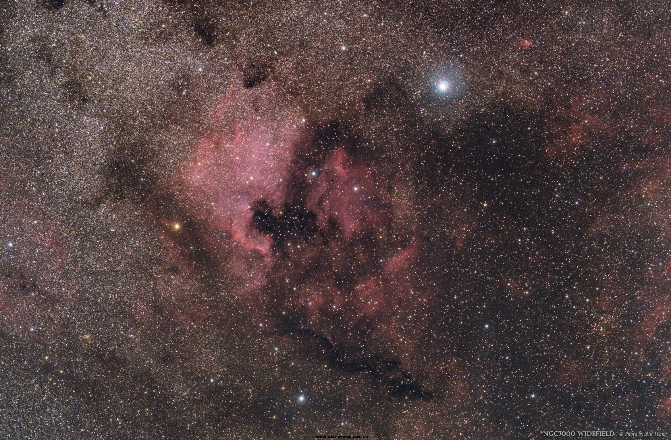 NGC7000 Widefield.jpg
