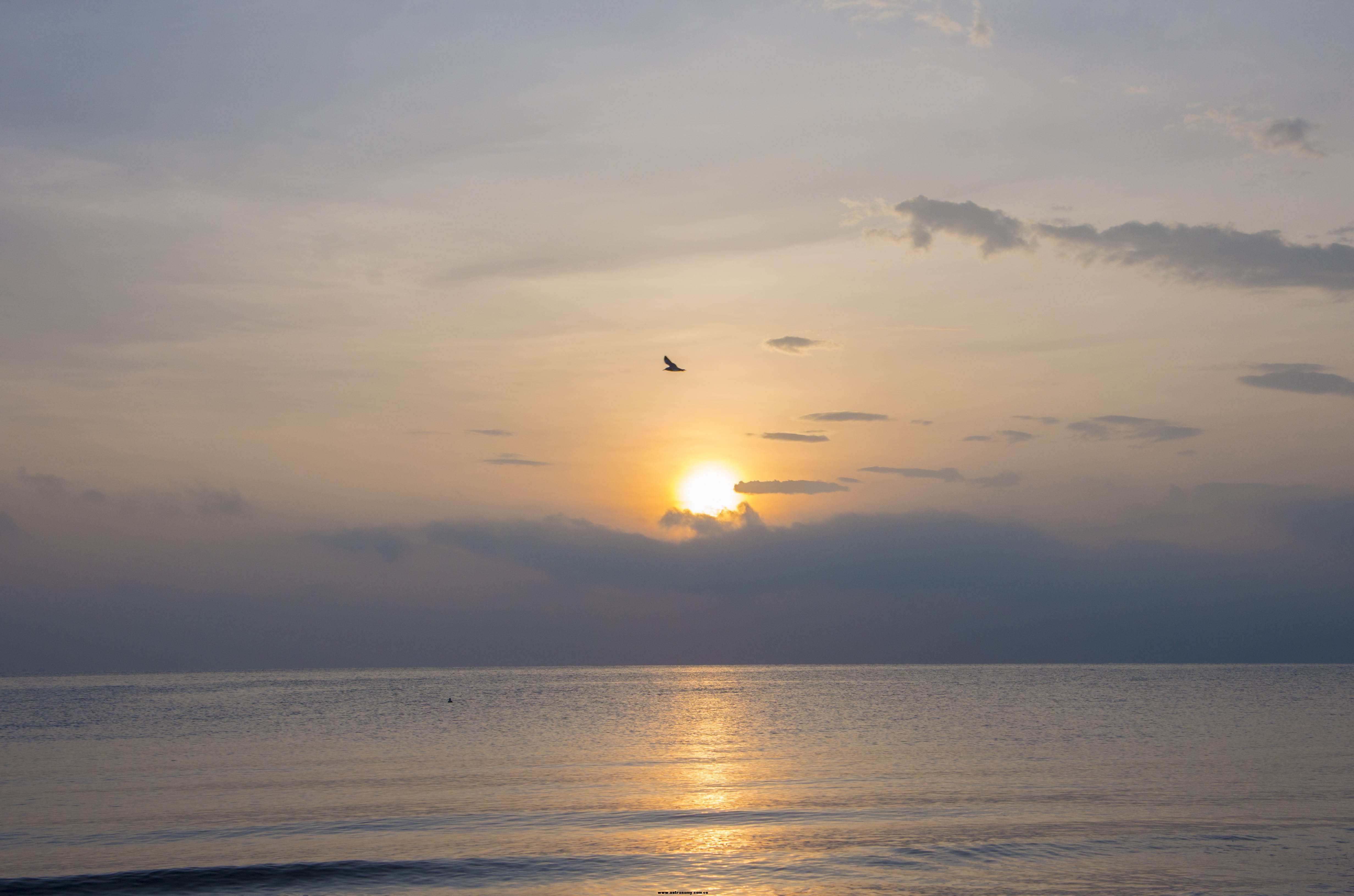 海上日出