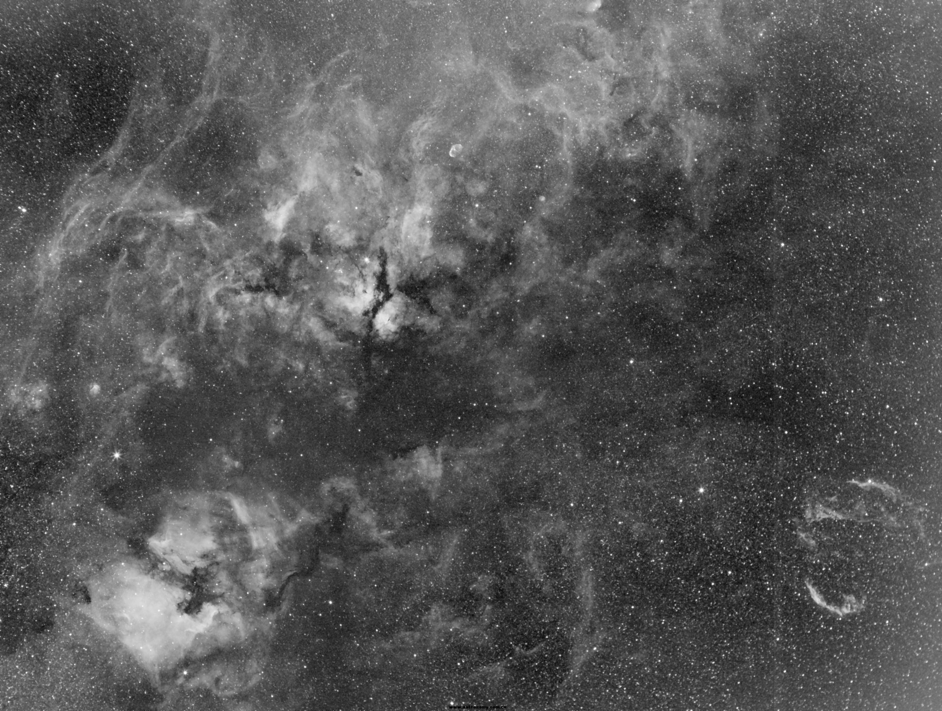 Cygnus wide filed.jpg