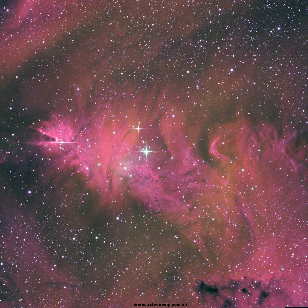 NGC2264.jpg