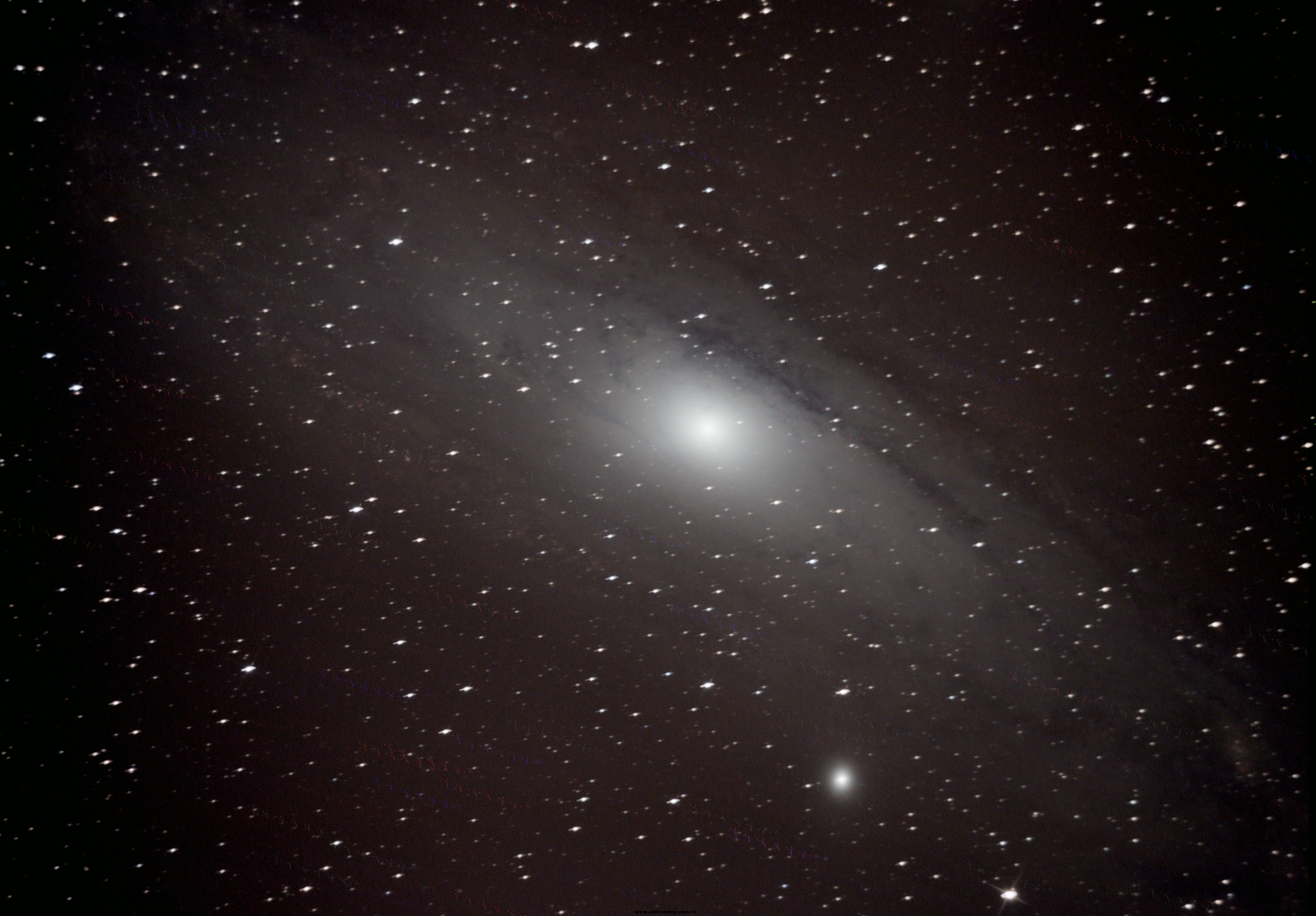 M31