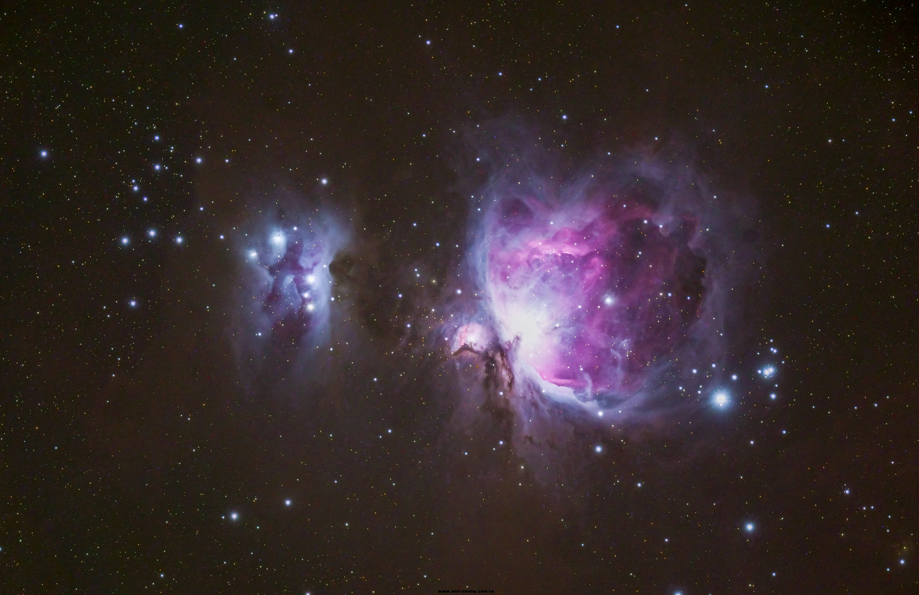 M42高哥.jpg