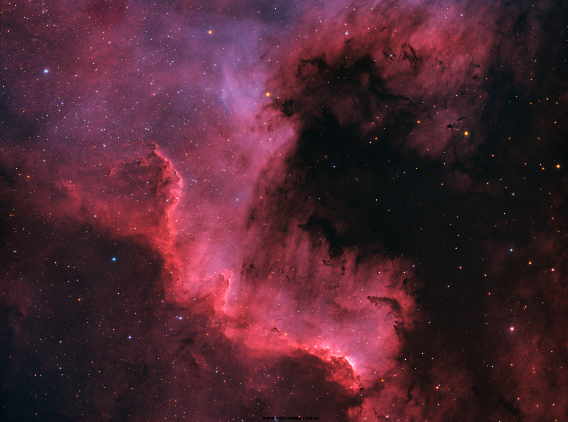 QHY163-NGC7000.png