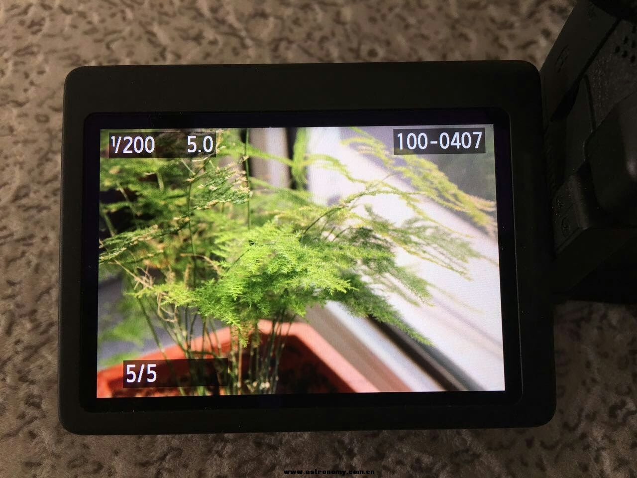 mmexport1478048588610.jpg