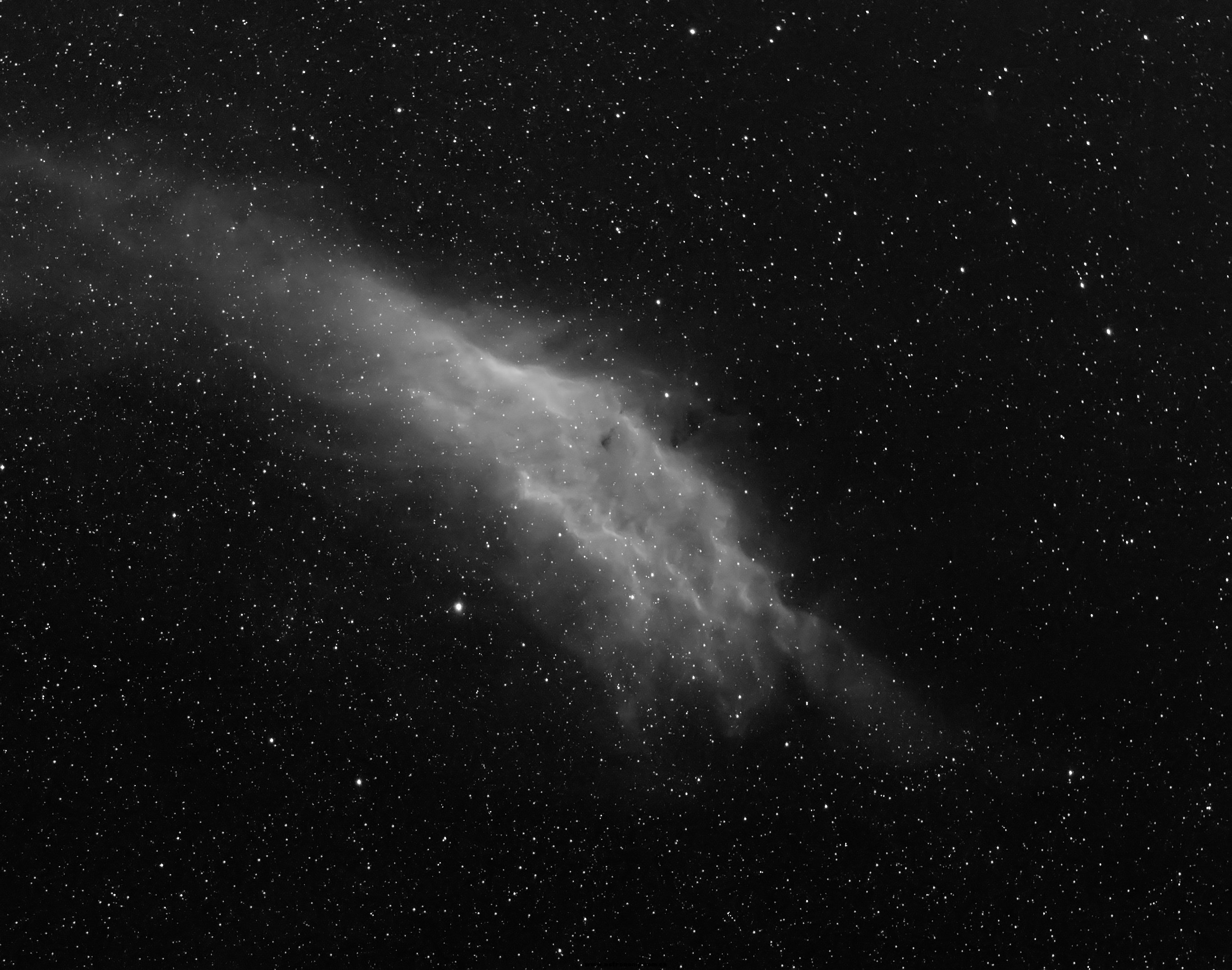 NGC1499-H.jpg