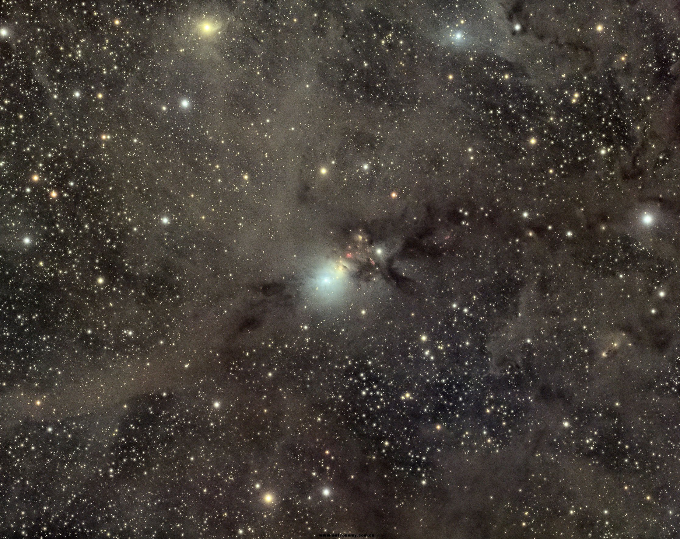 IC1333.jpg
