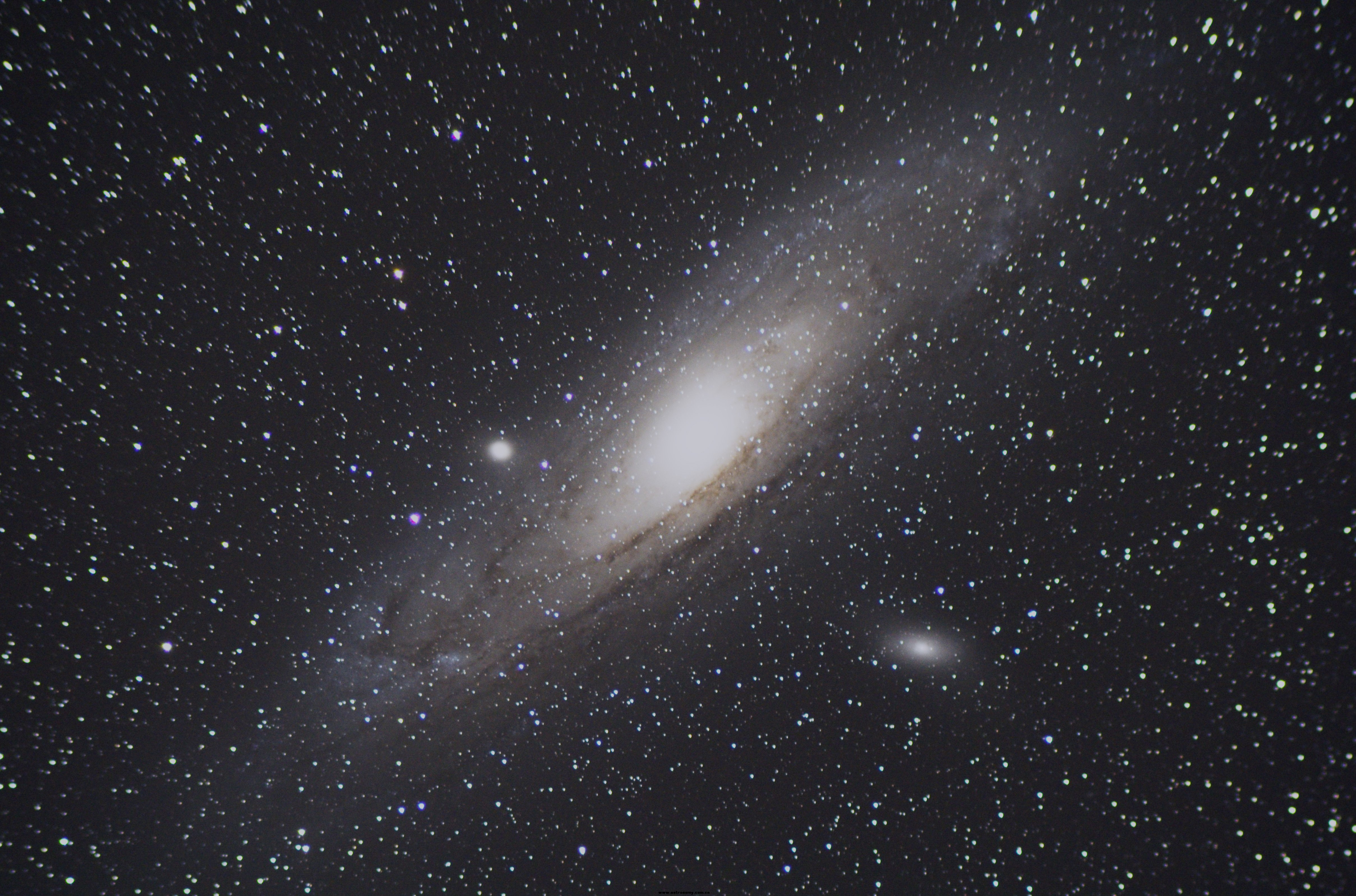 NIKON 80400 M31-1.jpg