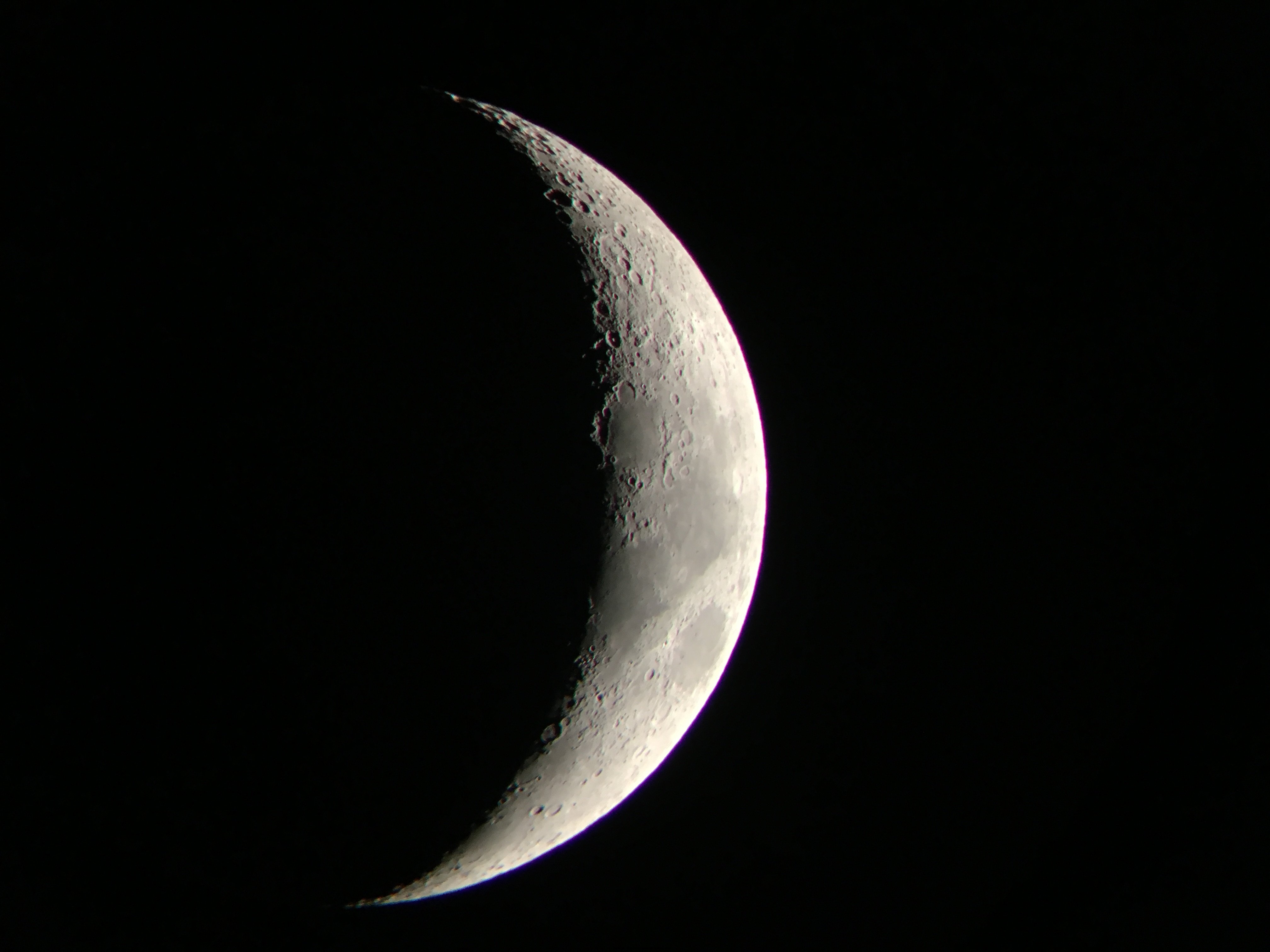 IMG_3554.JPG