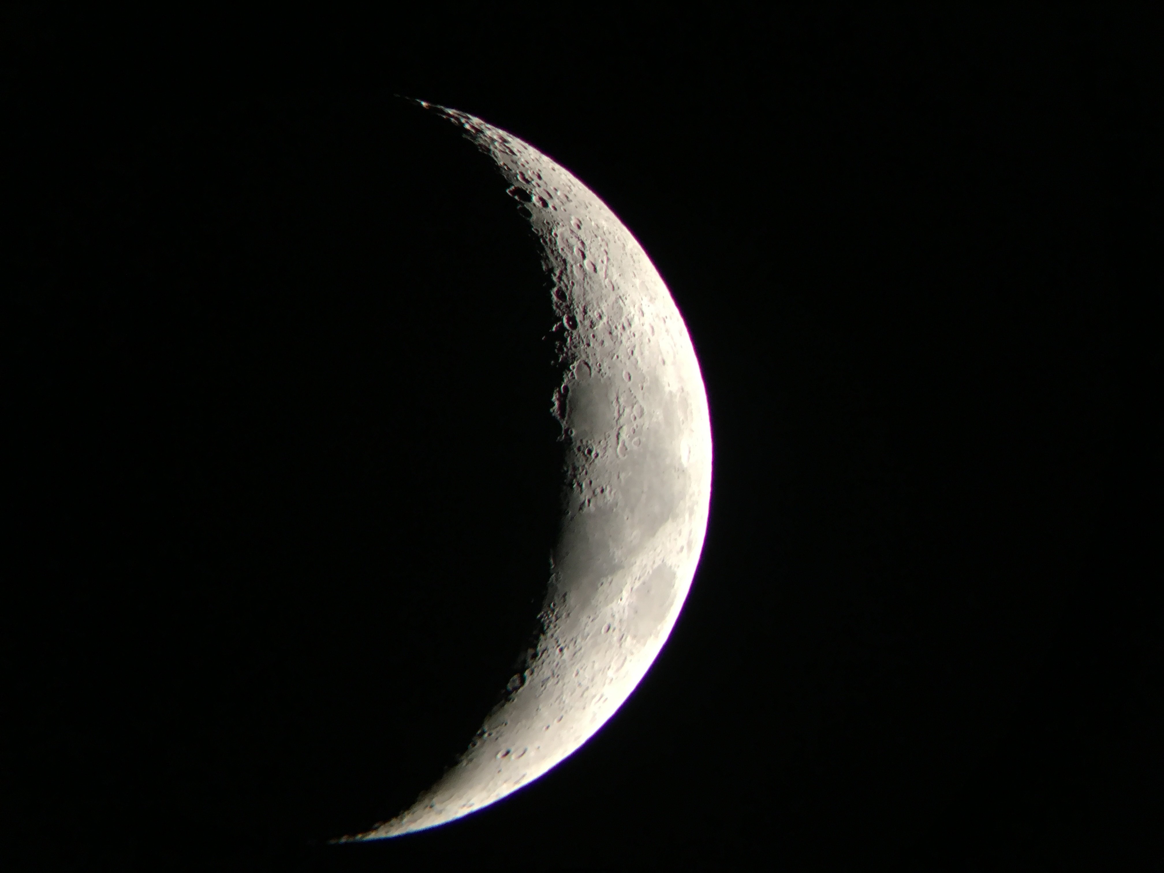 IMG_3555.JPG