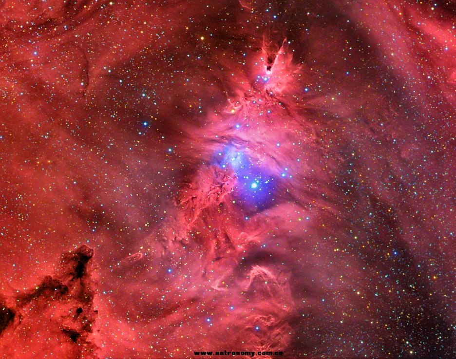 NGC2264