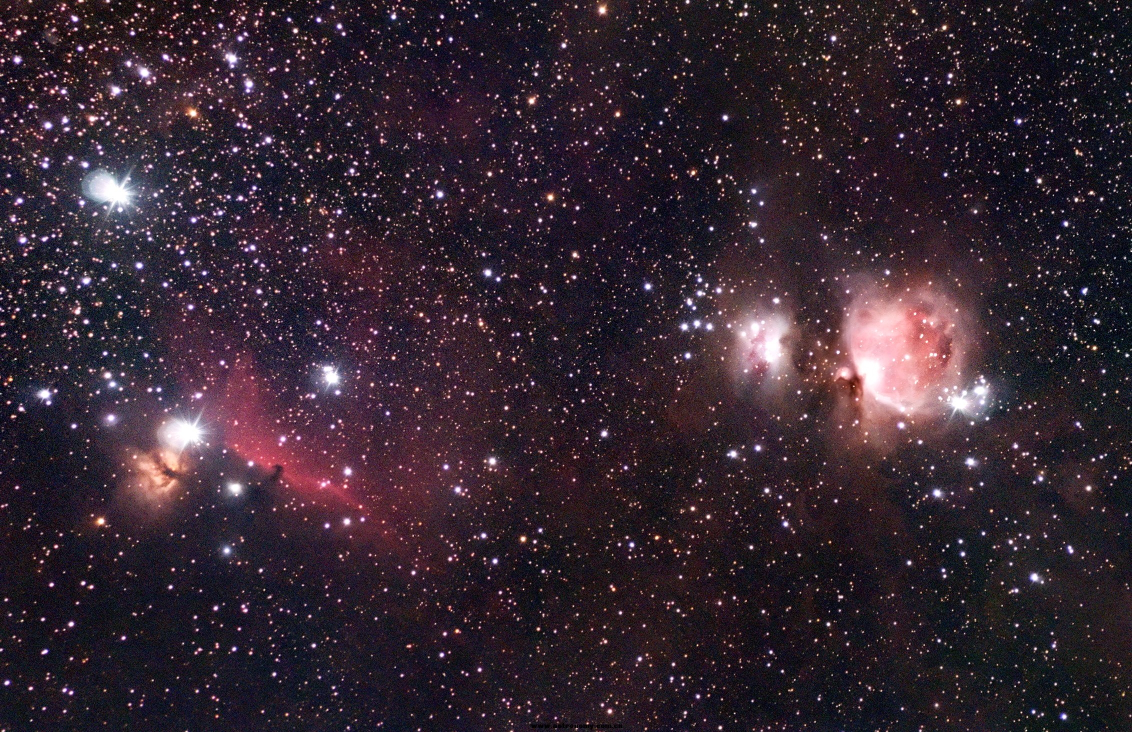 42a.jpg