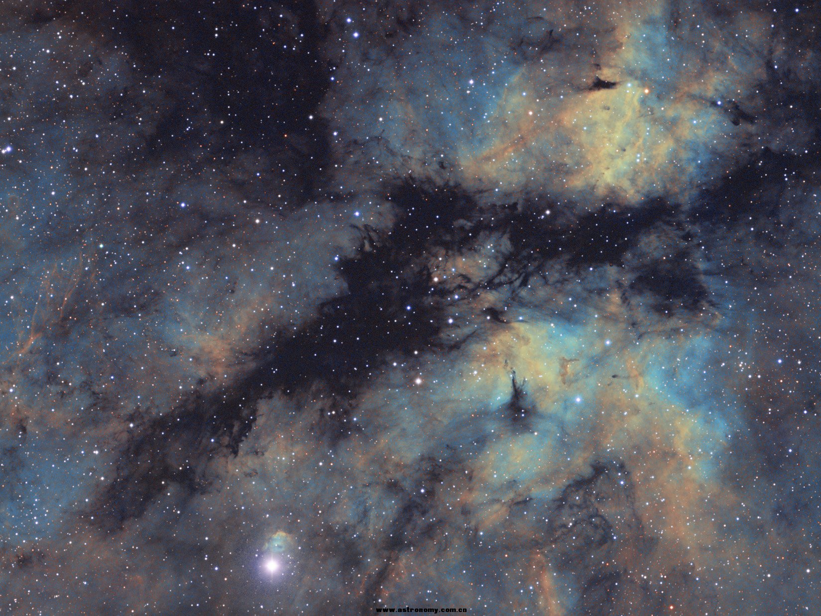 IC1318-RGB-1-出图(50%).jpg