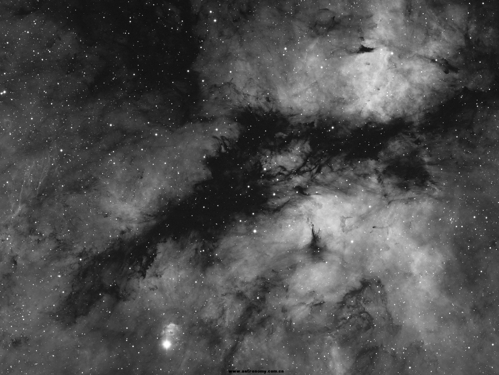 IC1318-H-PI-PS-1(50%).jpg