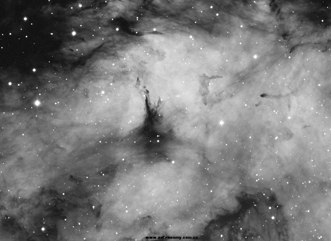 IC1318-H-PI-PS-细节.jpg