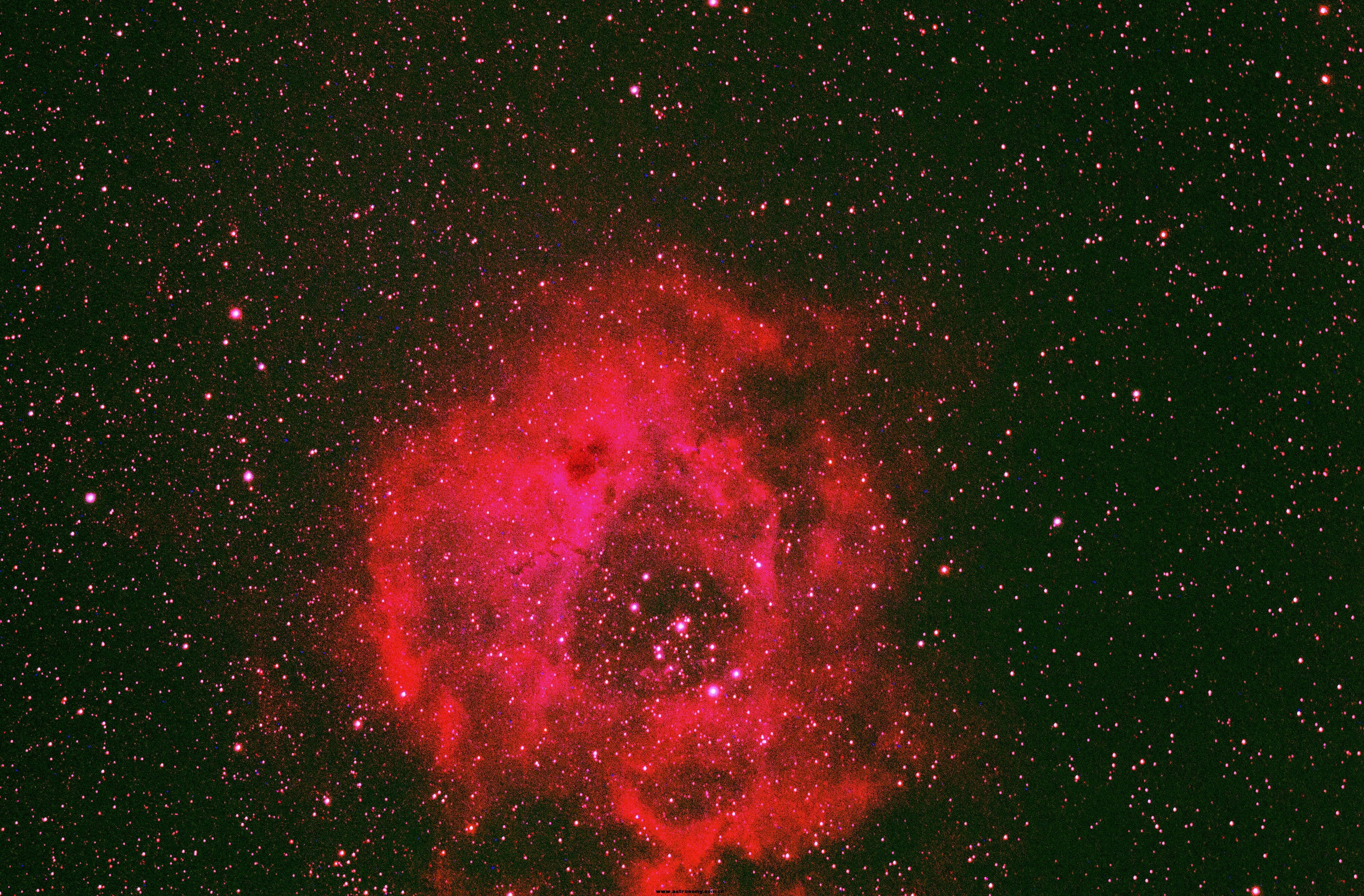 ngc2237  11 .jpg