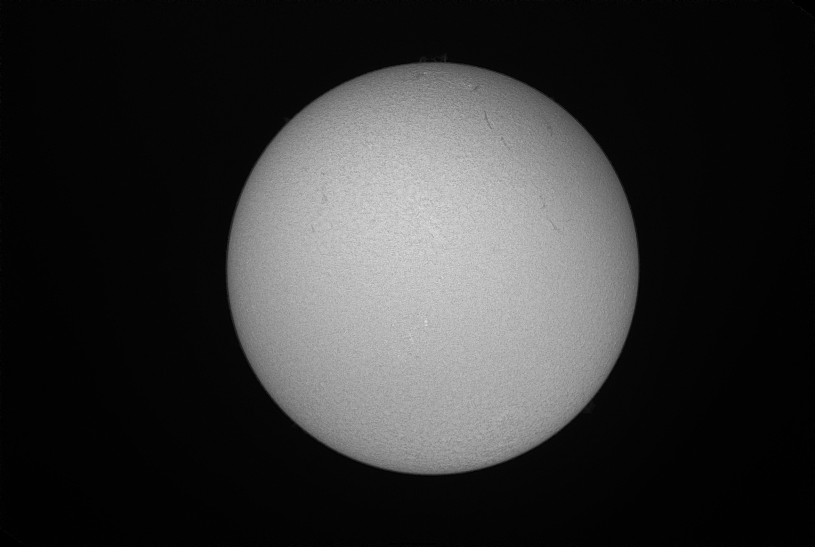 sun20161231-rm-gray1.jpg
