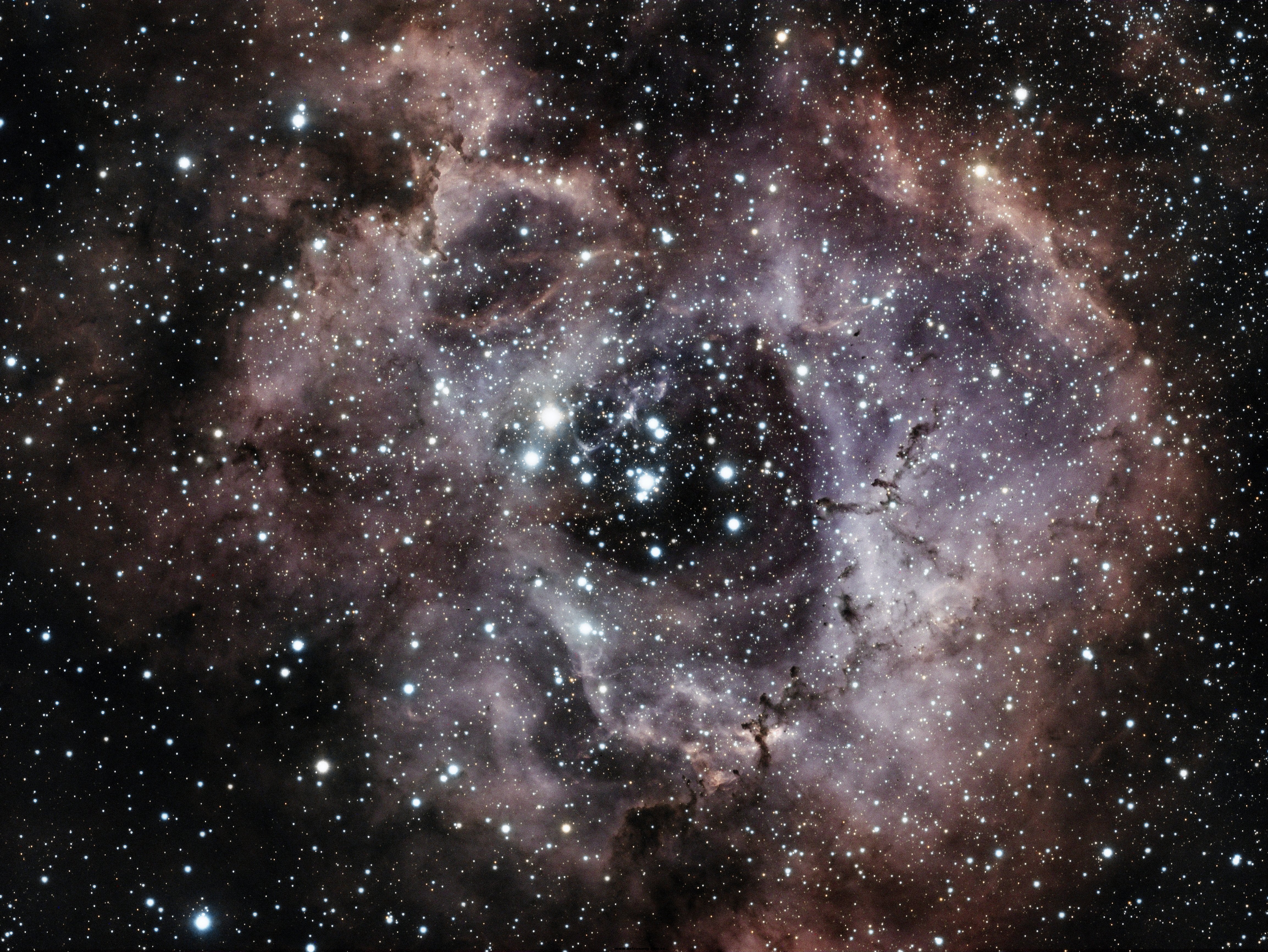 NGC2244玫瑰星云