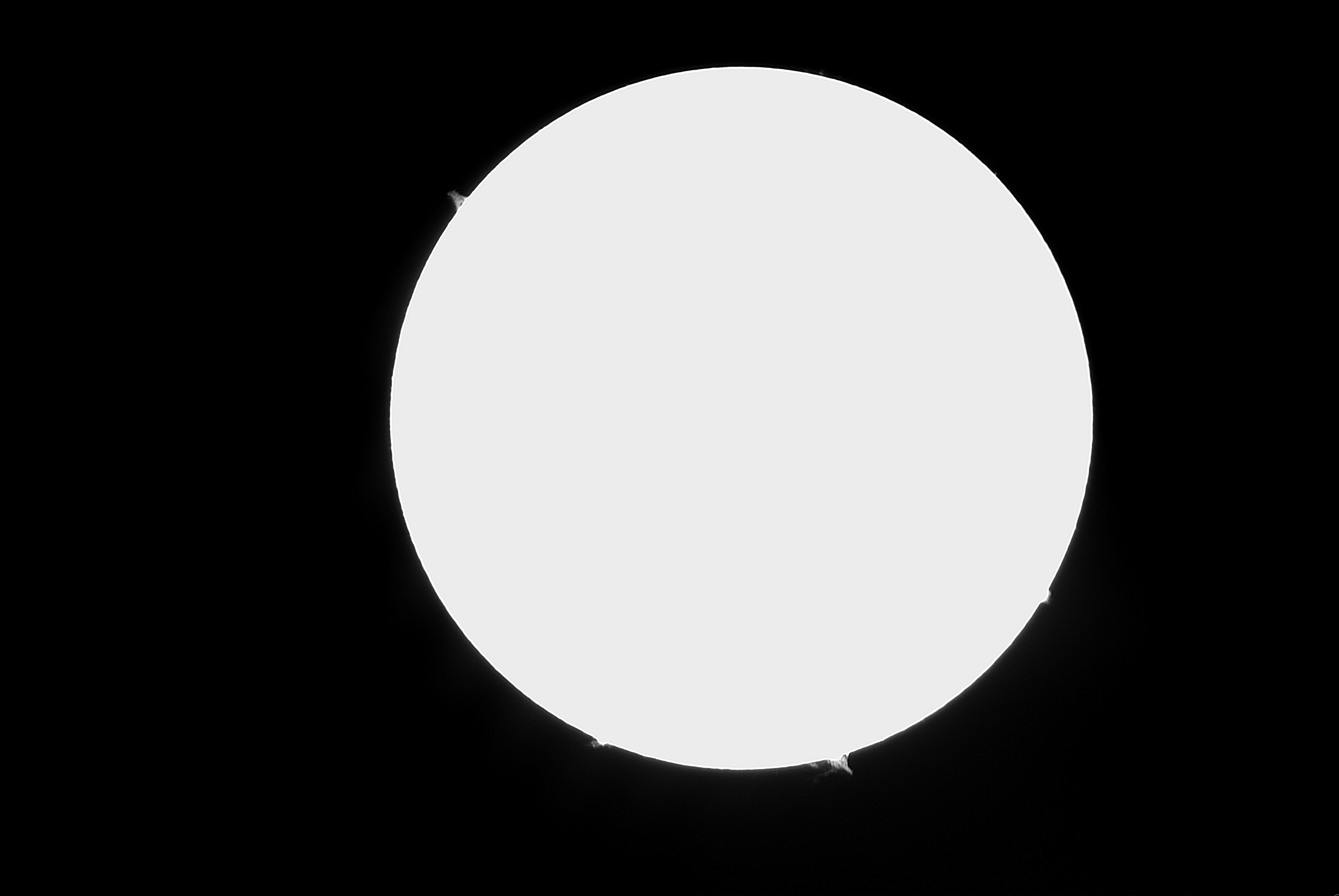 sun20170125-re-gray1.jpg