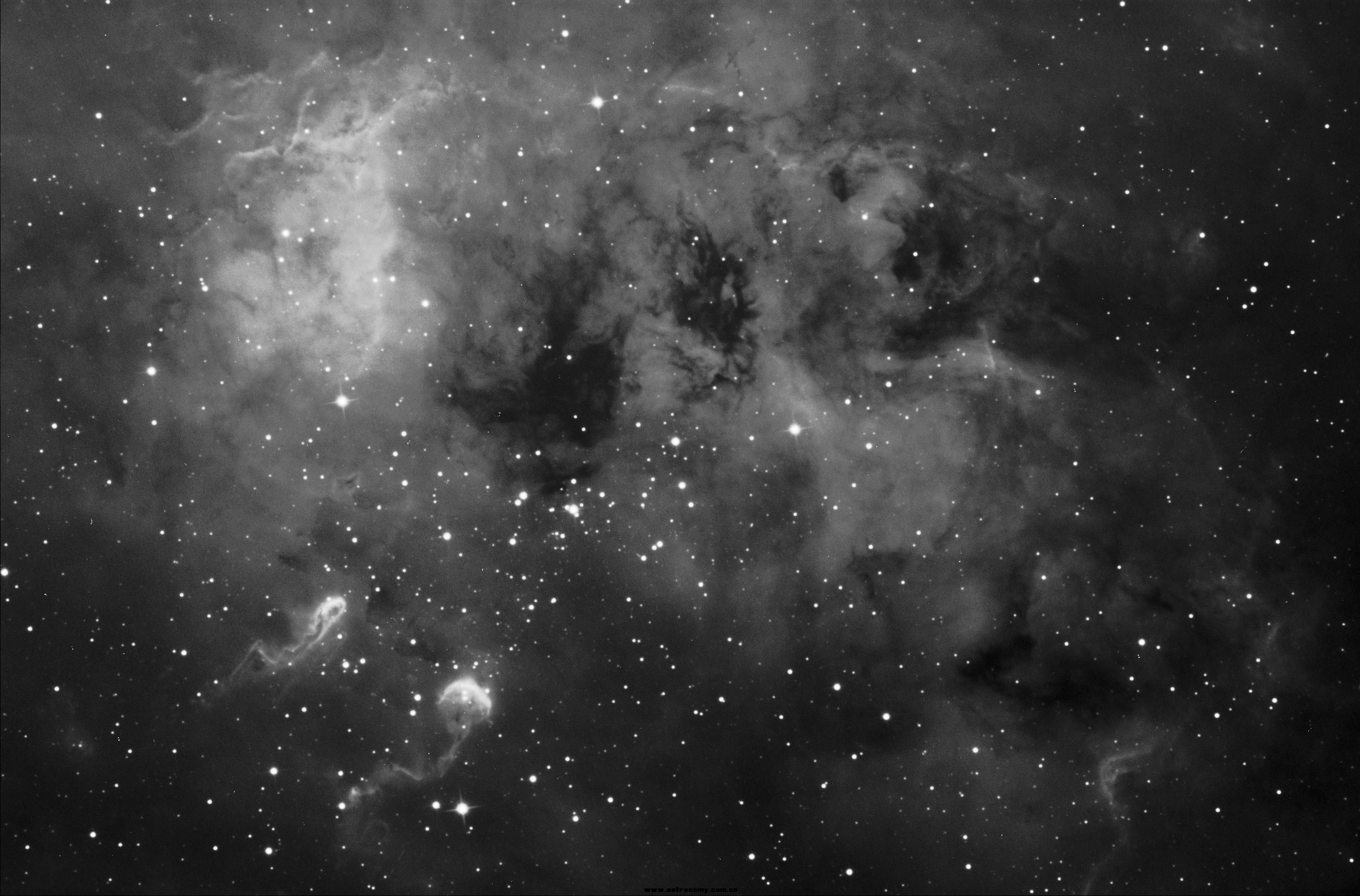 IC410黑白.jpg