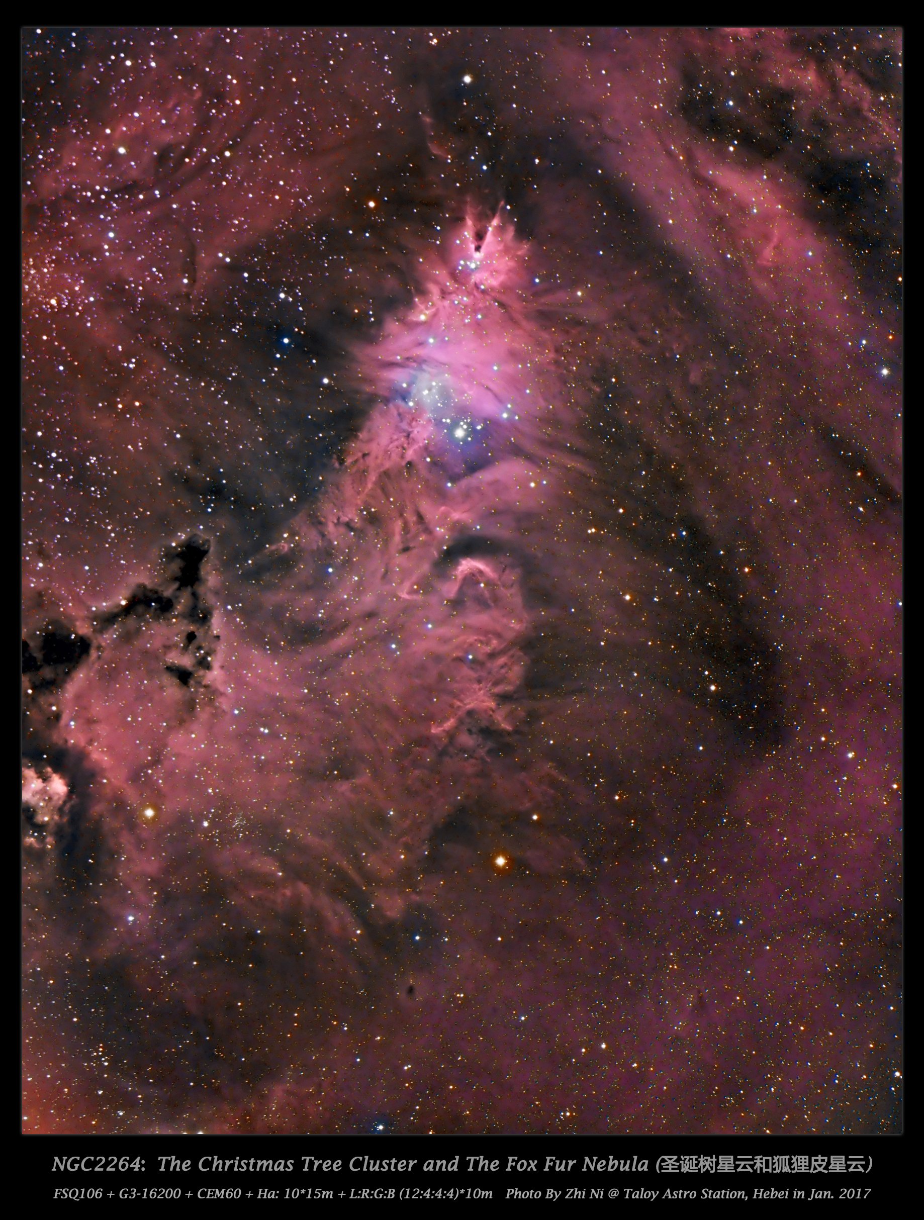 NGC2264_6.5h_HaLRGB_Small.jpg