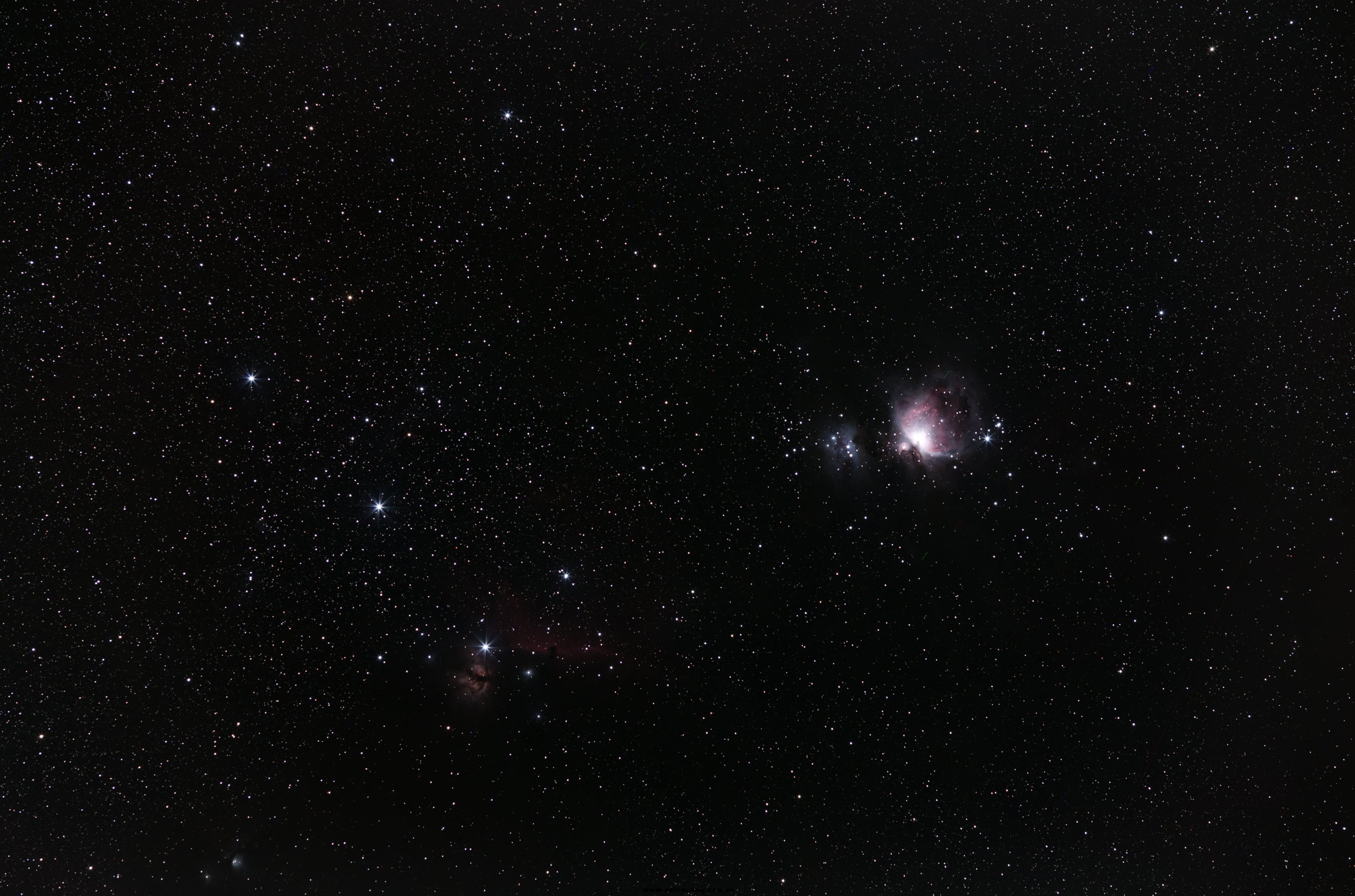 ORION-NODark-1.jpg