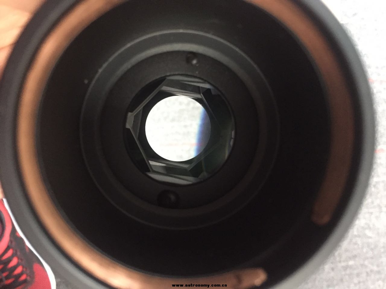 472864109784658972.jpg