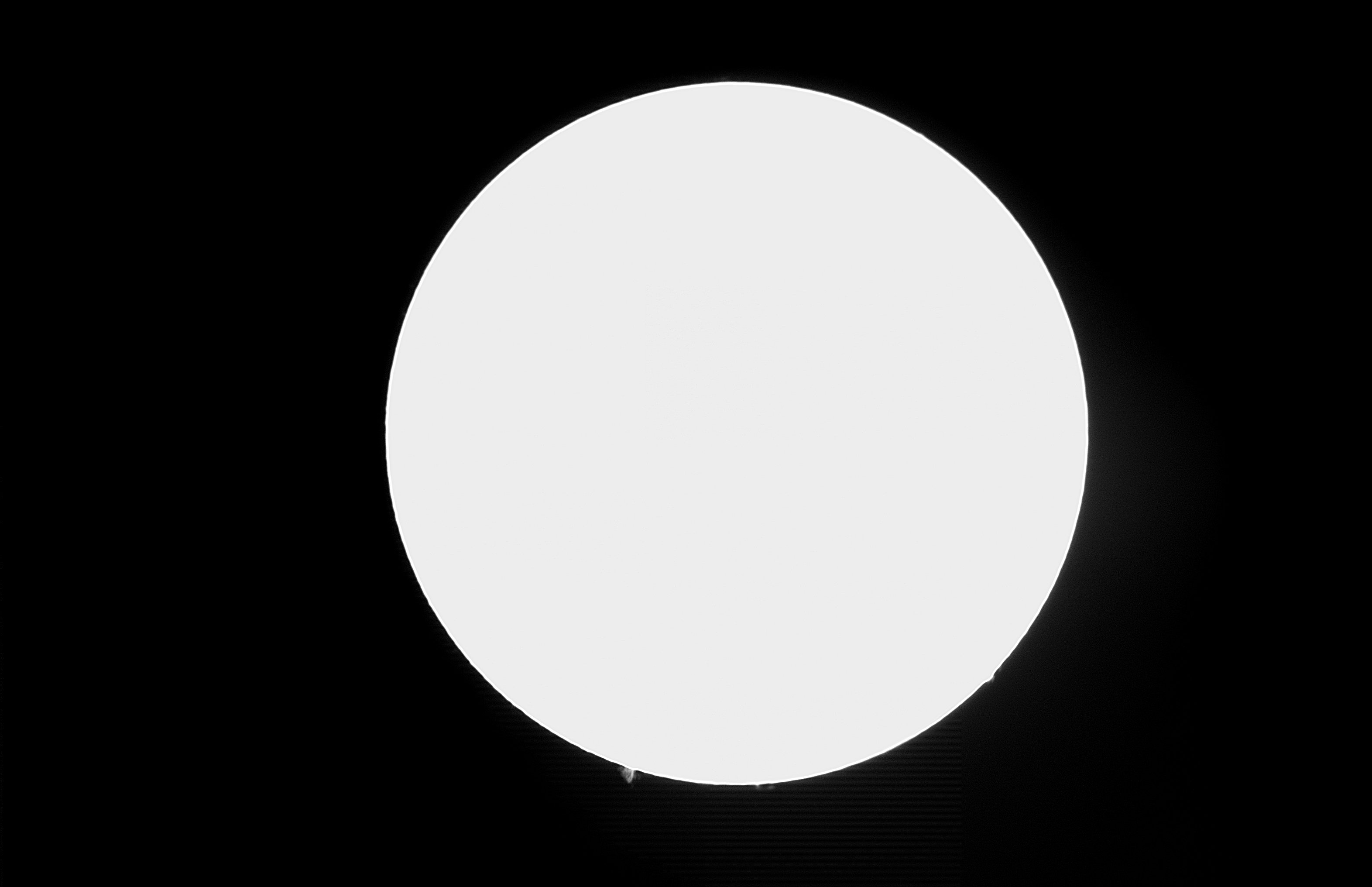 sun20170209-re-gray1.jpg