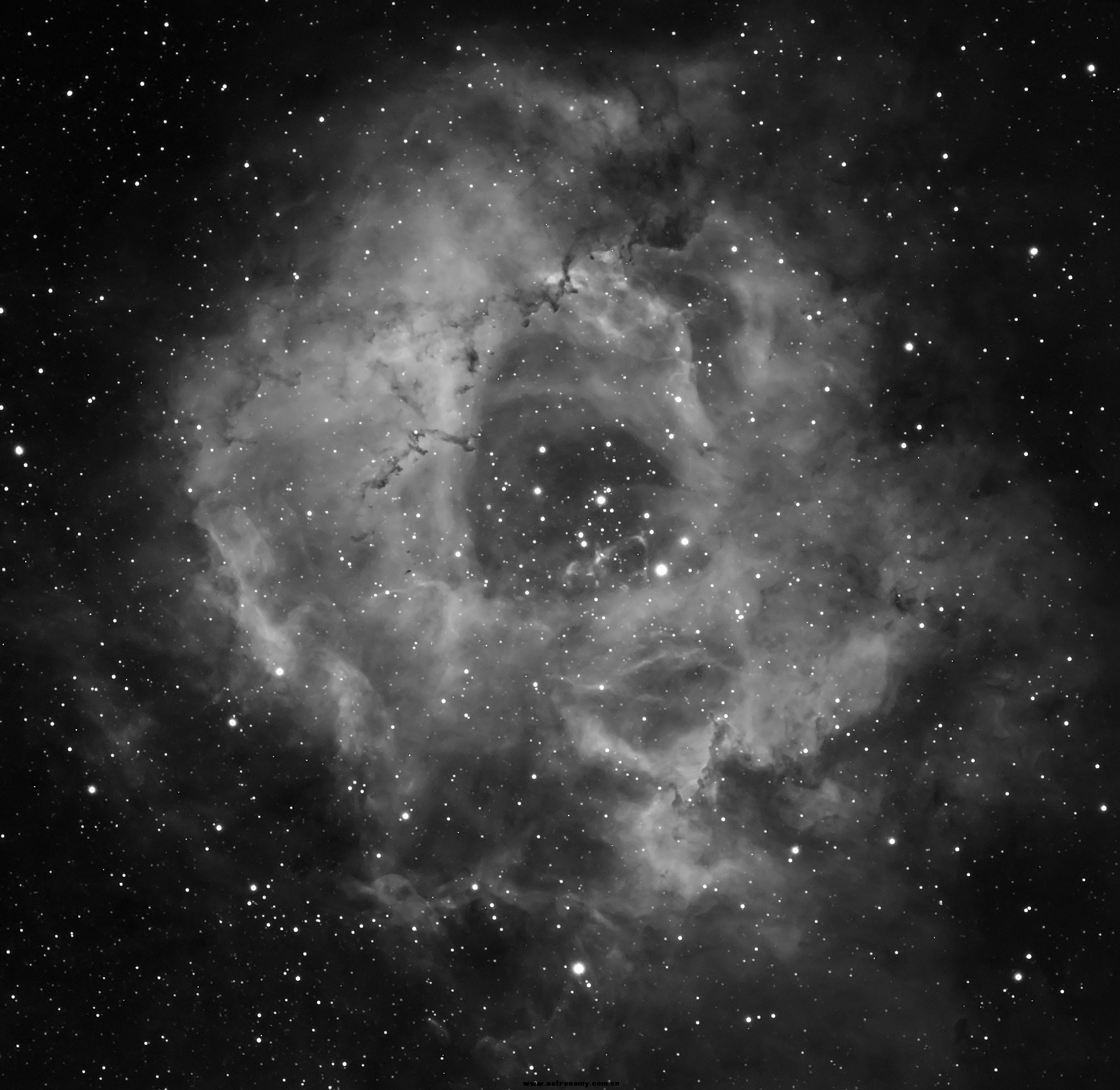 NGC2237-H-585M.jpg