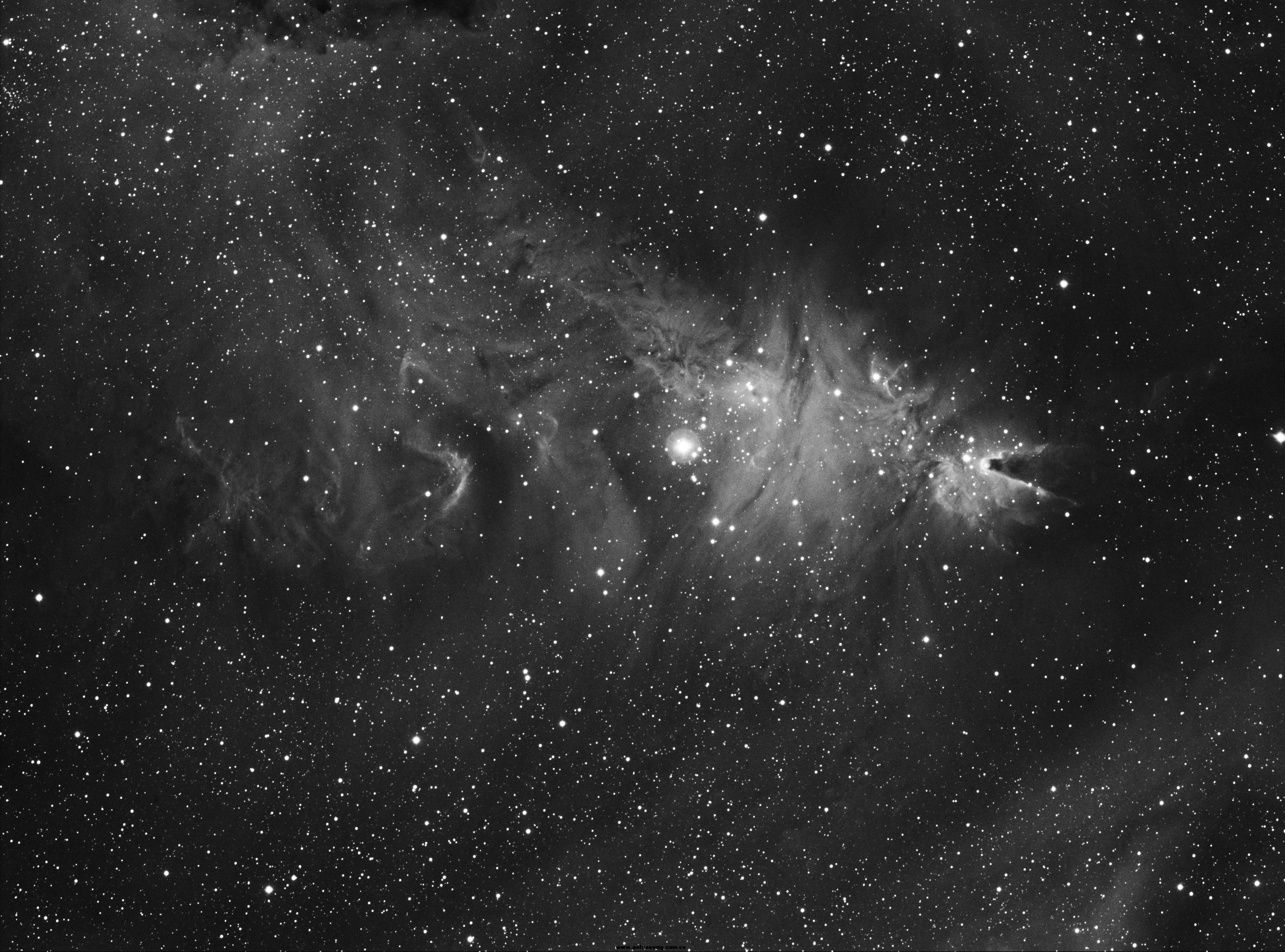 NGC2264ha.jpg