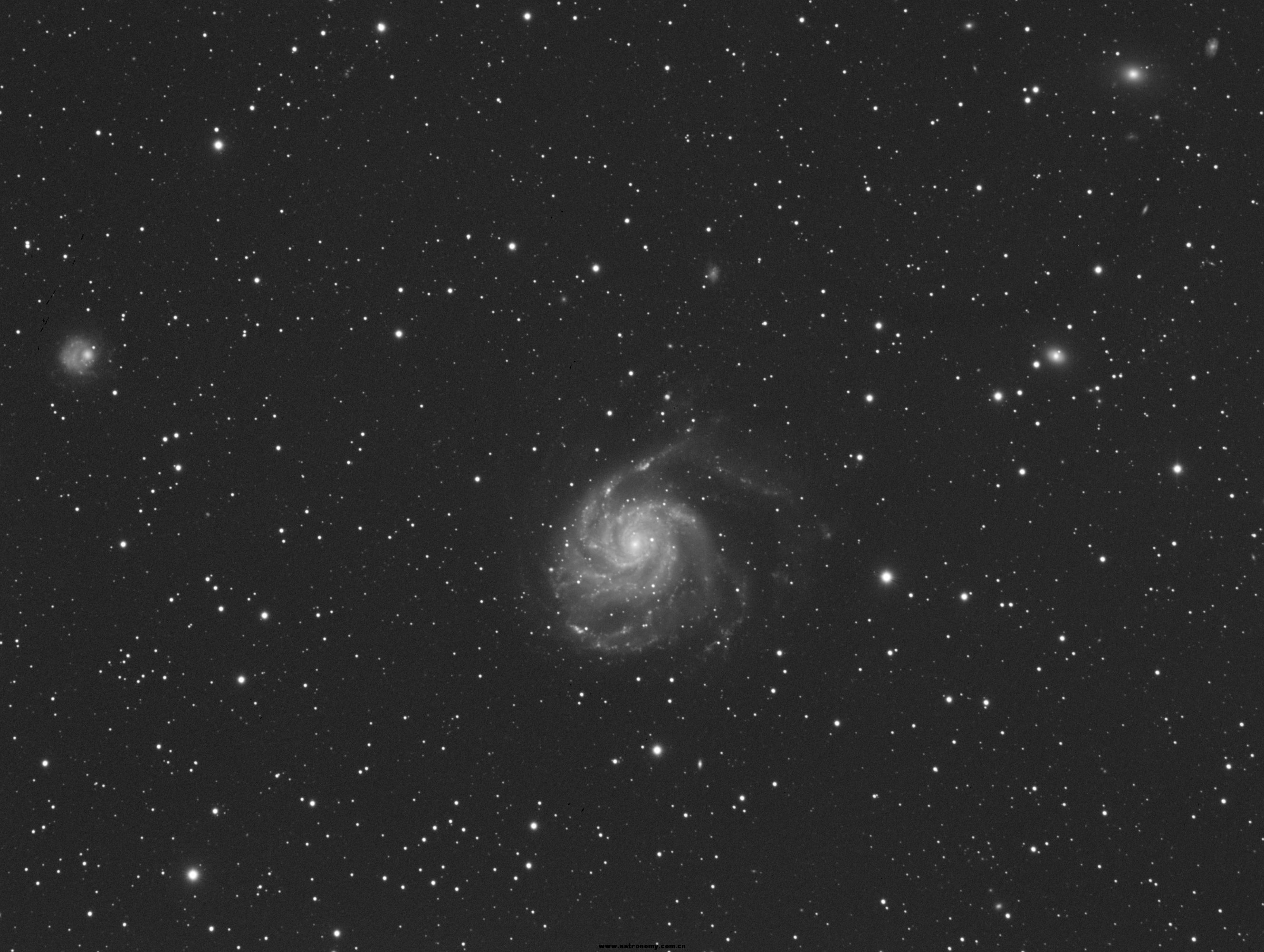 M101-L-1.jpg