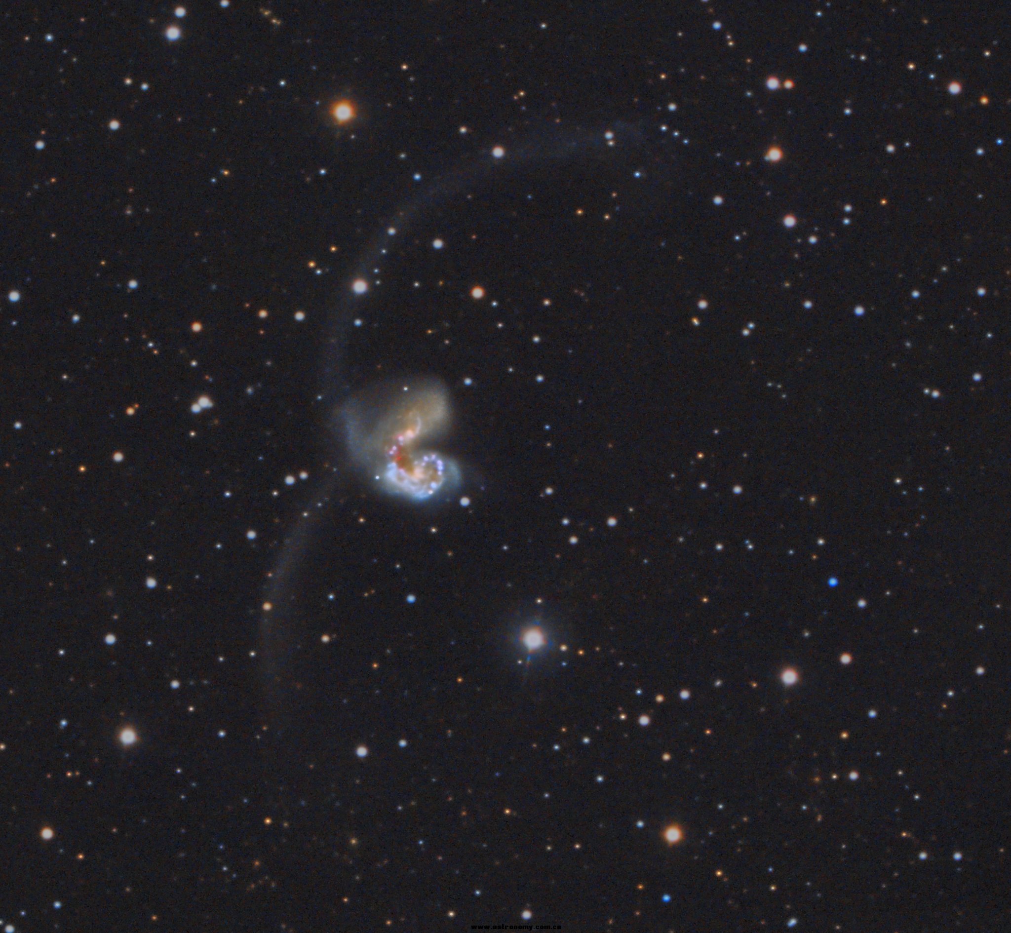 NGC4039_x35_B.jpg