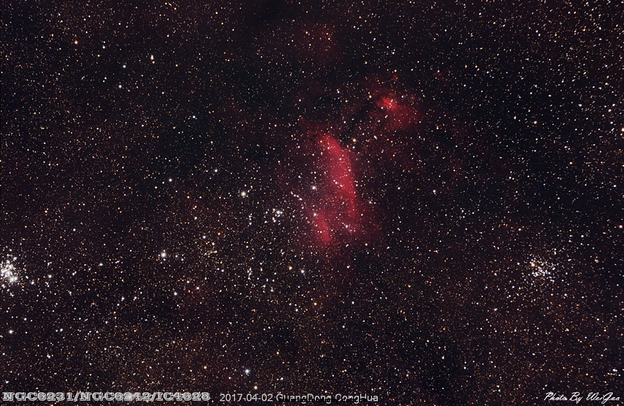 IC4628_4X.jpg