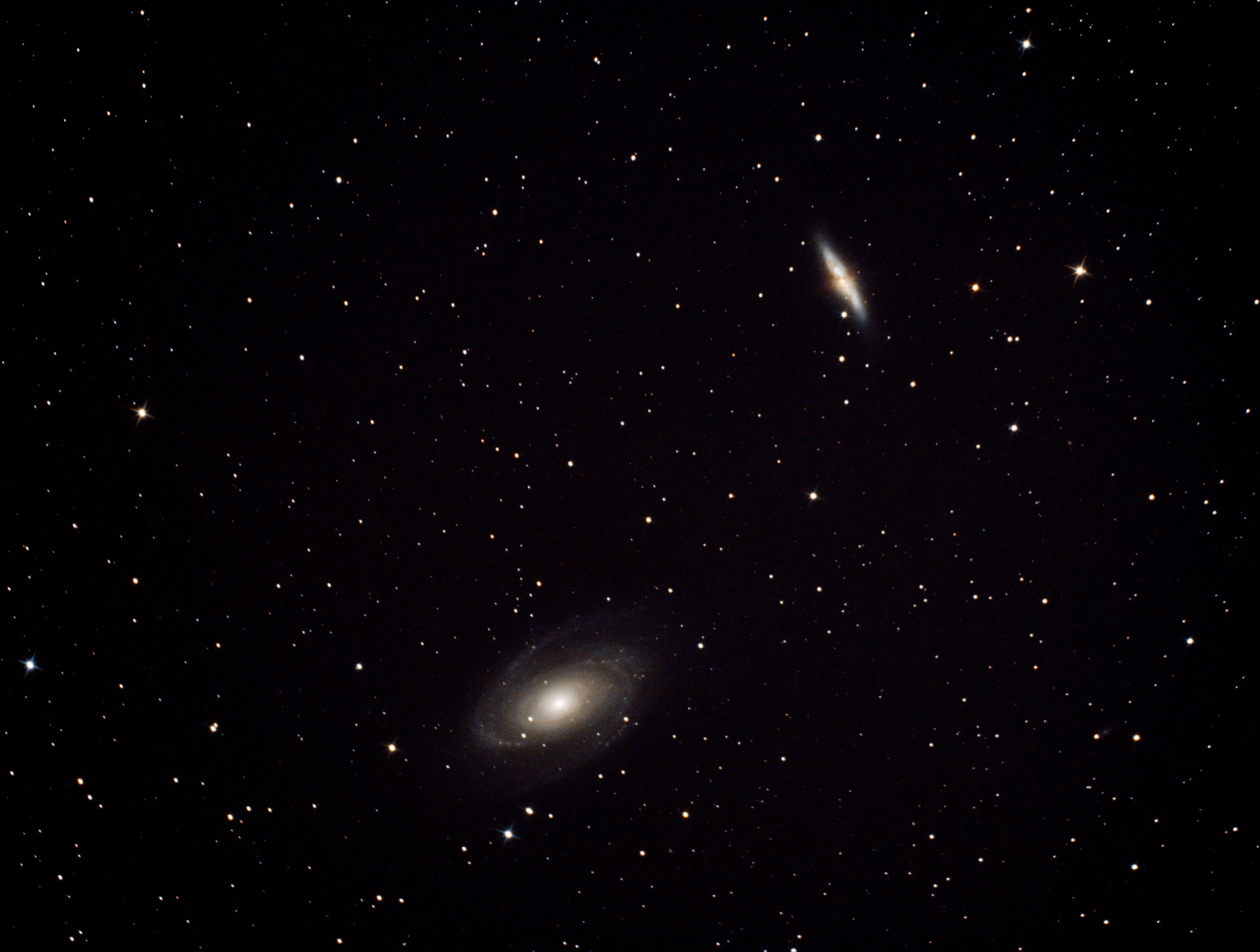 m8182.jpg