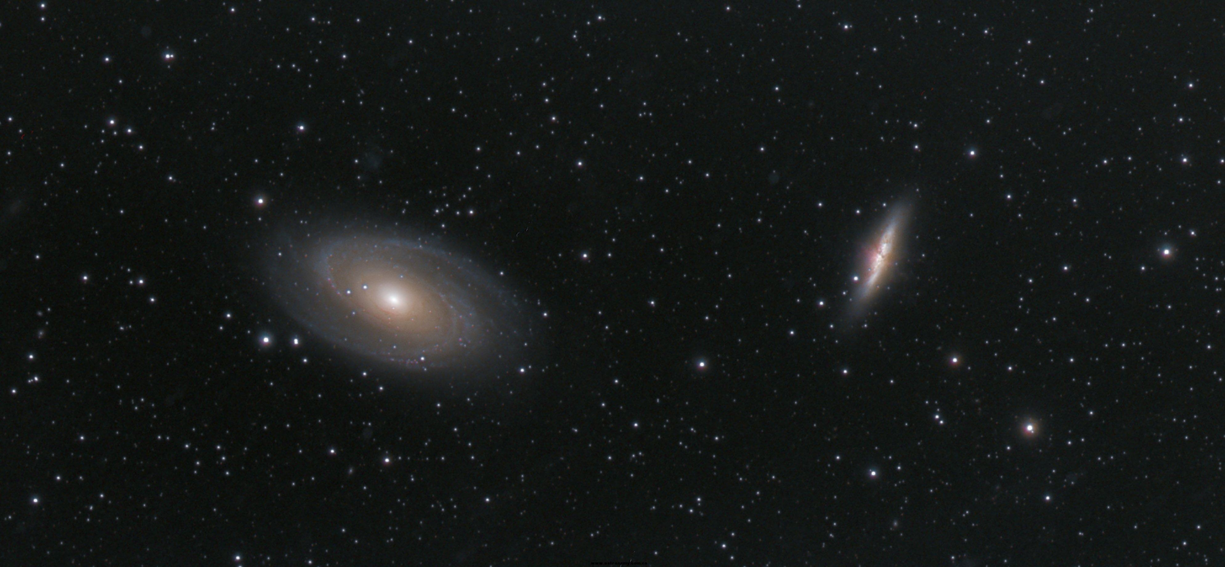 M8182-54LRGB1.jpg