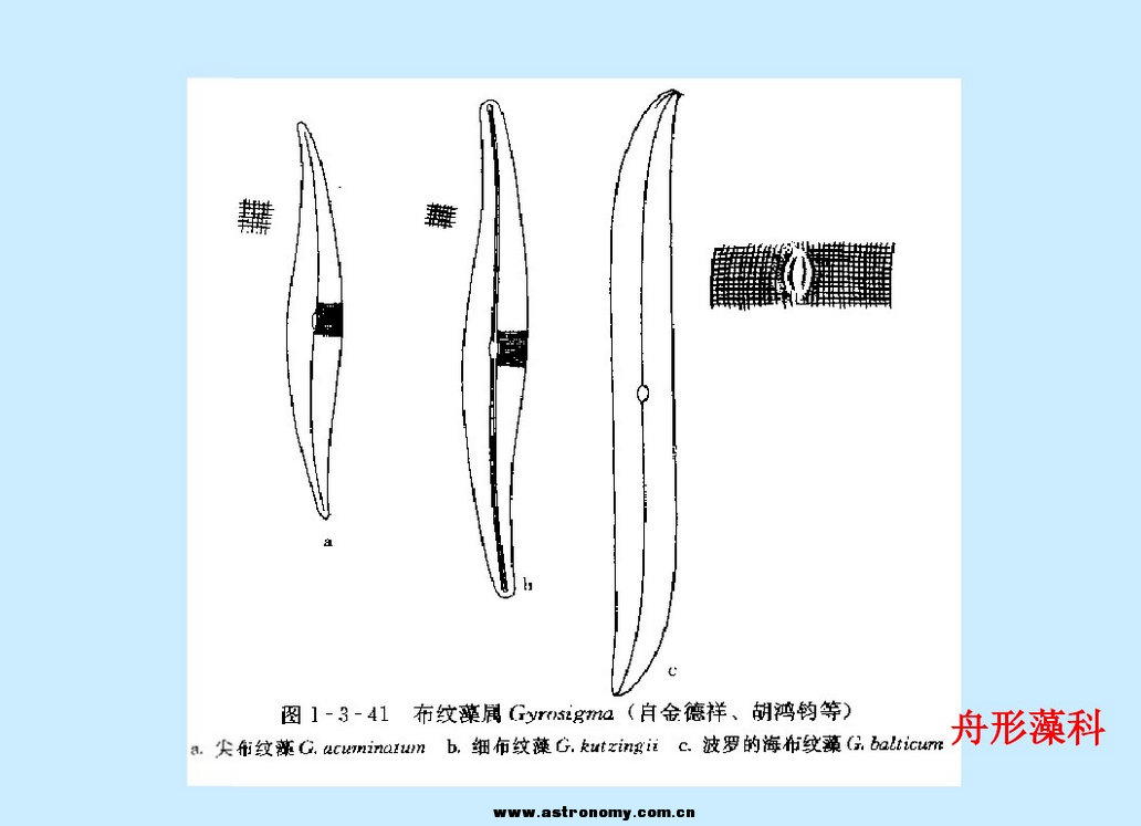 QQ图片20170615123513.png