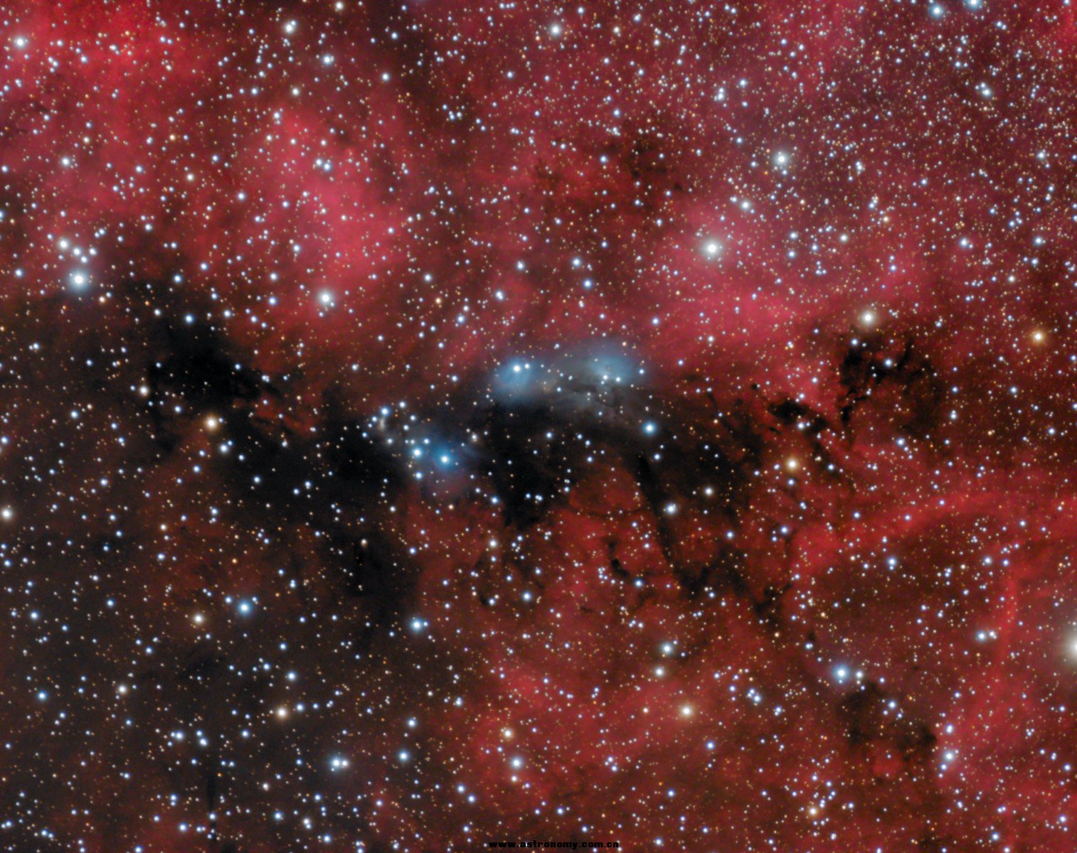 NGC6914 LRGB 8.5h.jpg